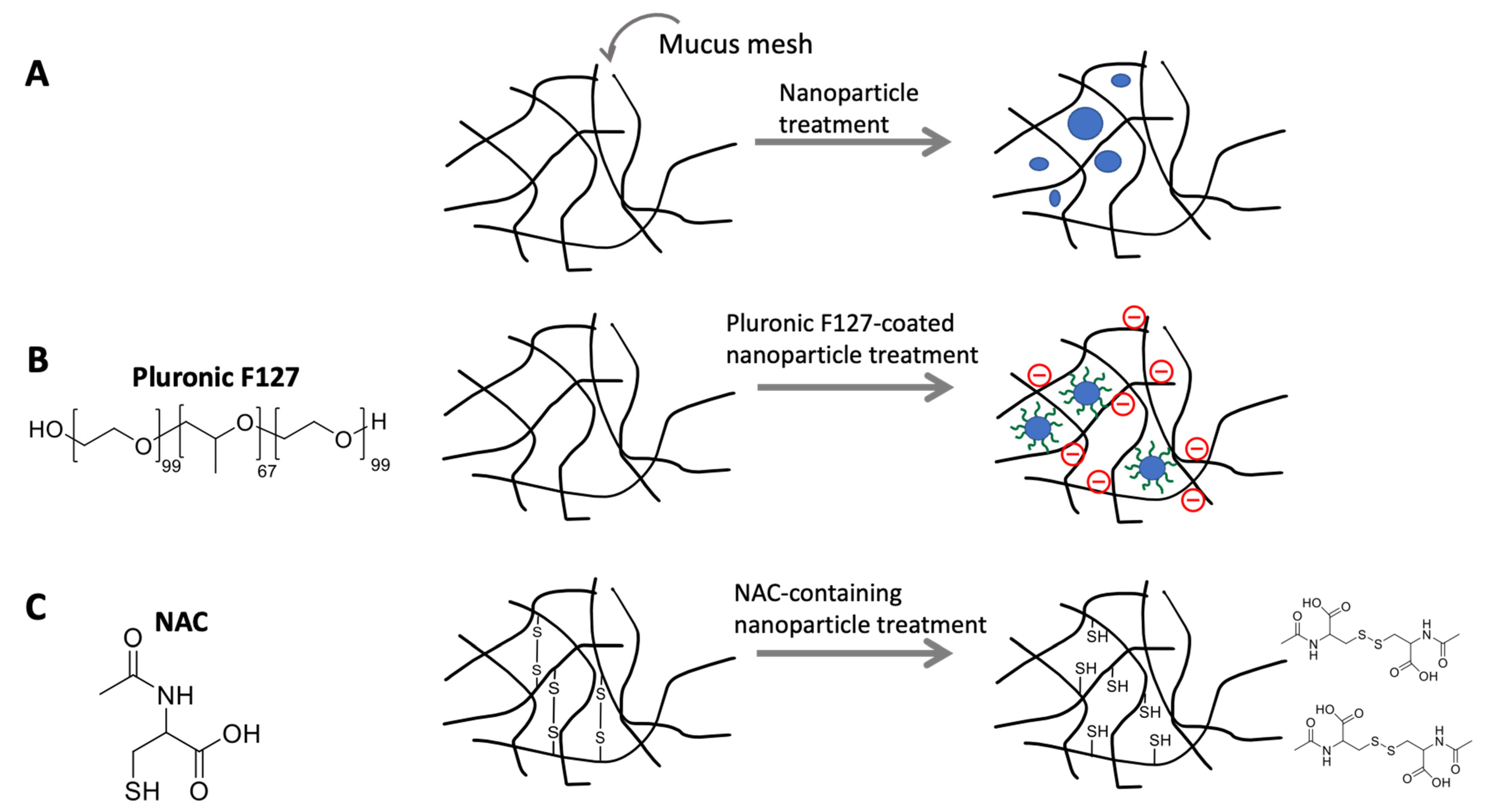 Pharmaceutics 15 02114 g005 Pharmaceutics 15 02114 g005