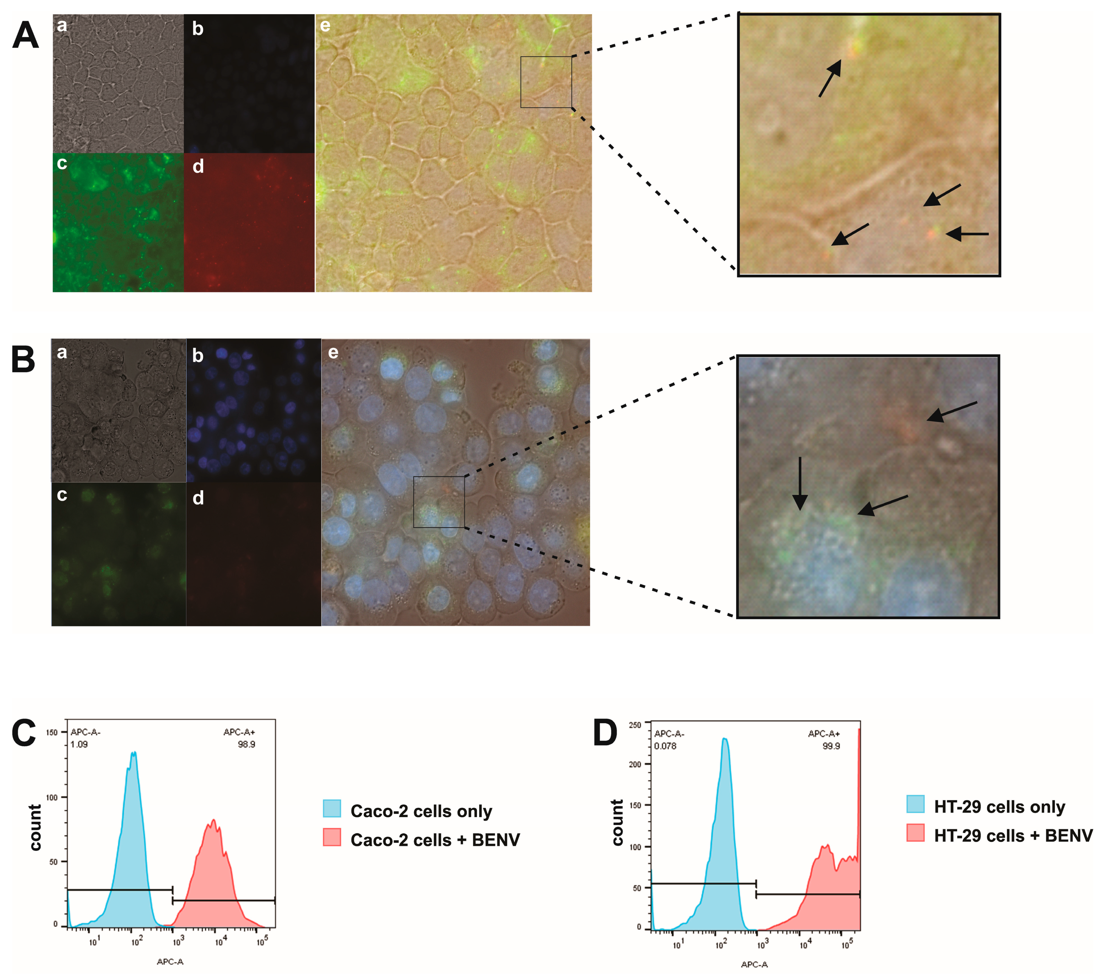 Pharmaceutics 15 02115 g004 Pharmaceutics 15 02115 g004