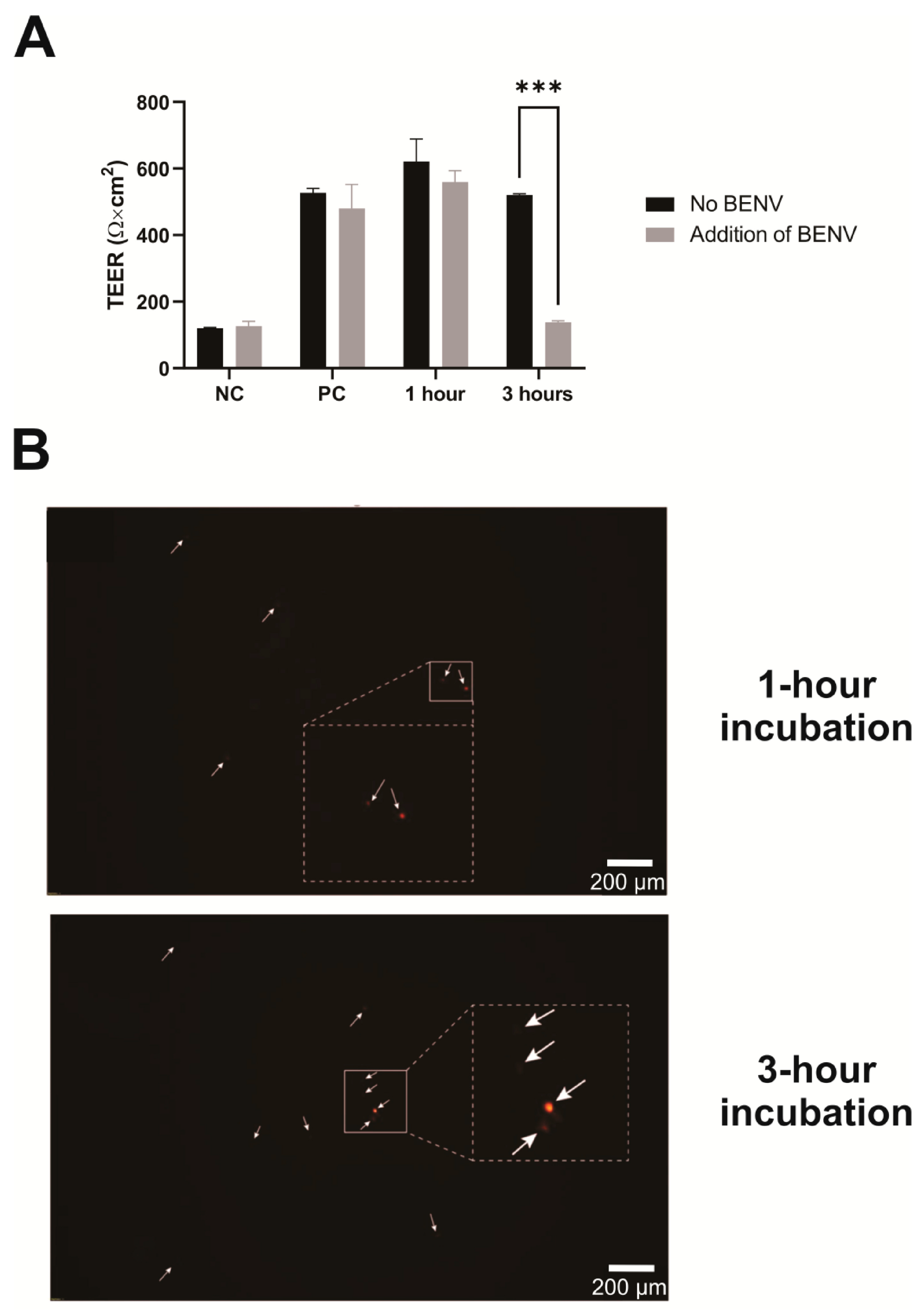 Pharmaceutics 15 02115 g005 Pharmaceutics 15 02115 g005