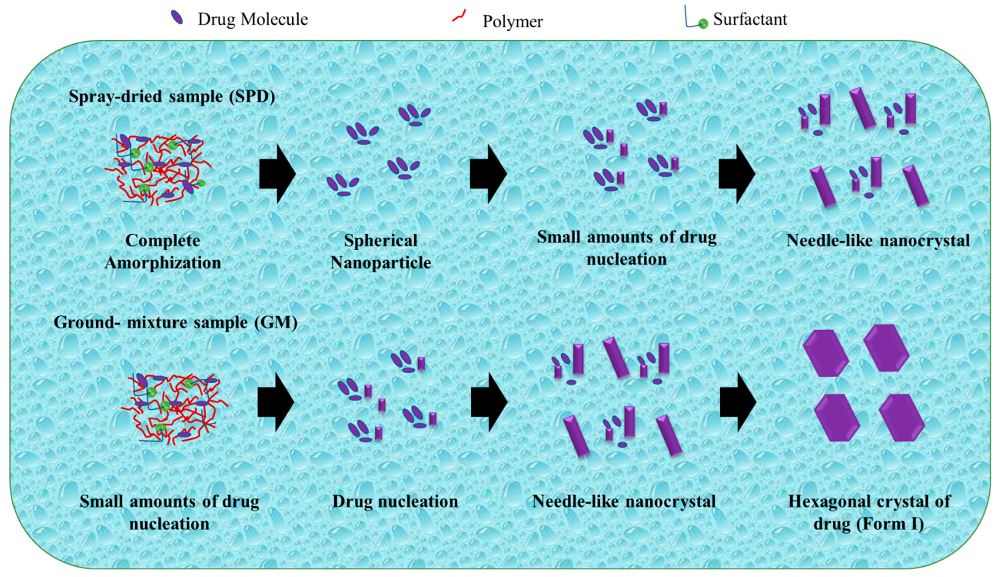 Pharmaceutics 15 02116 g007