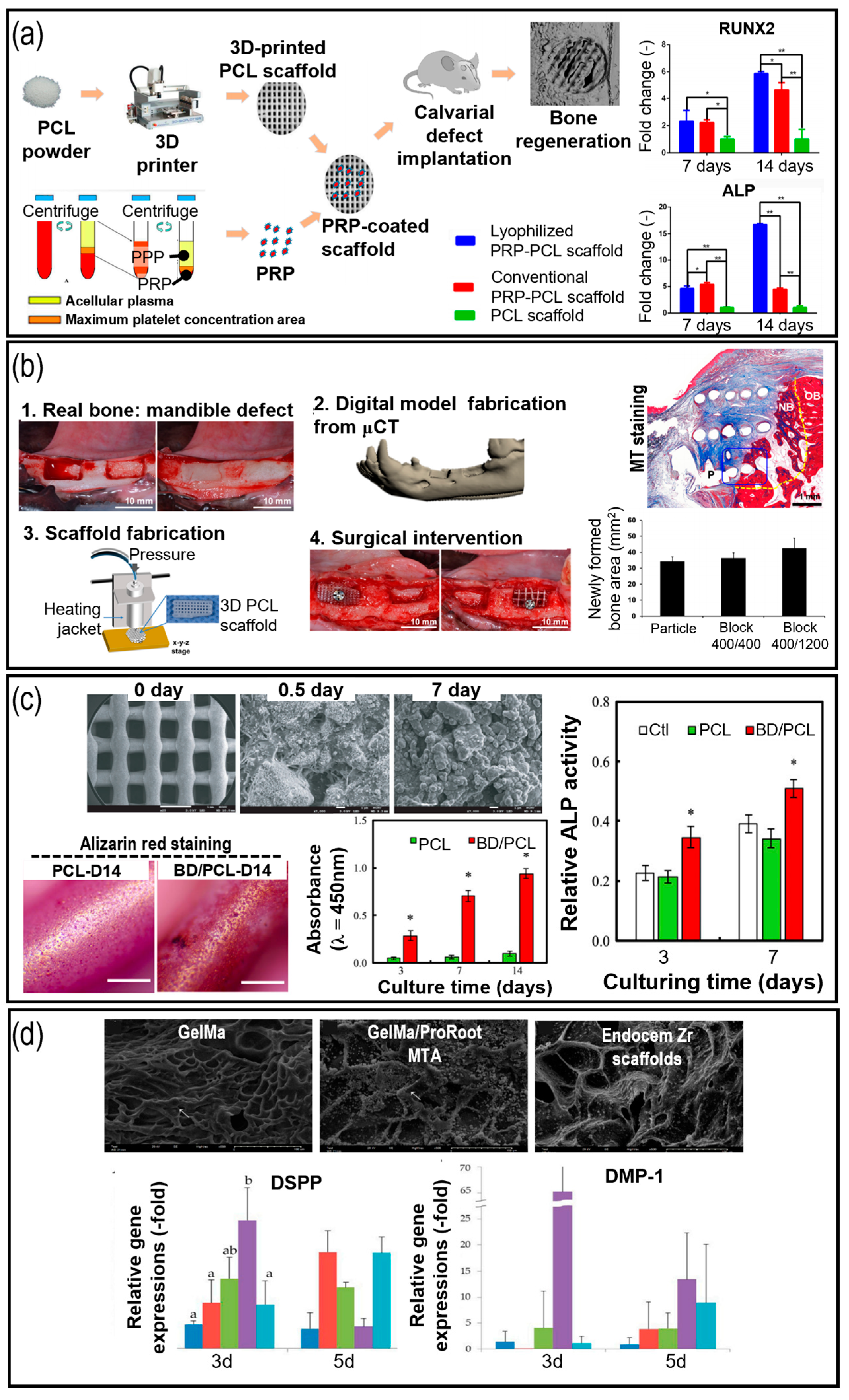 Pharmaceutics 15 02118 g003