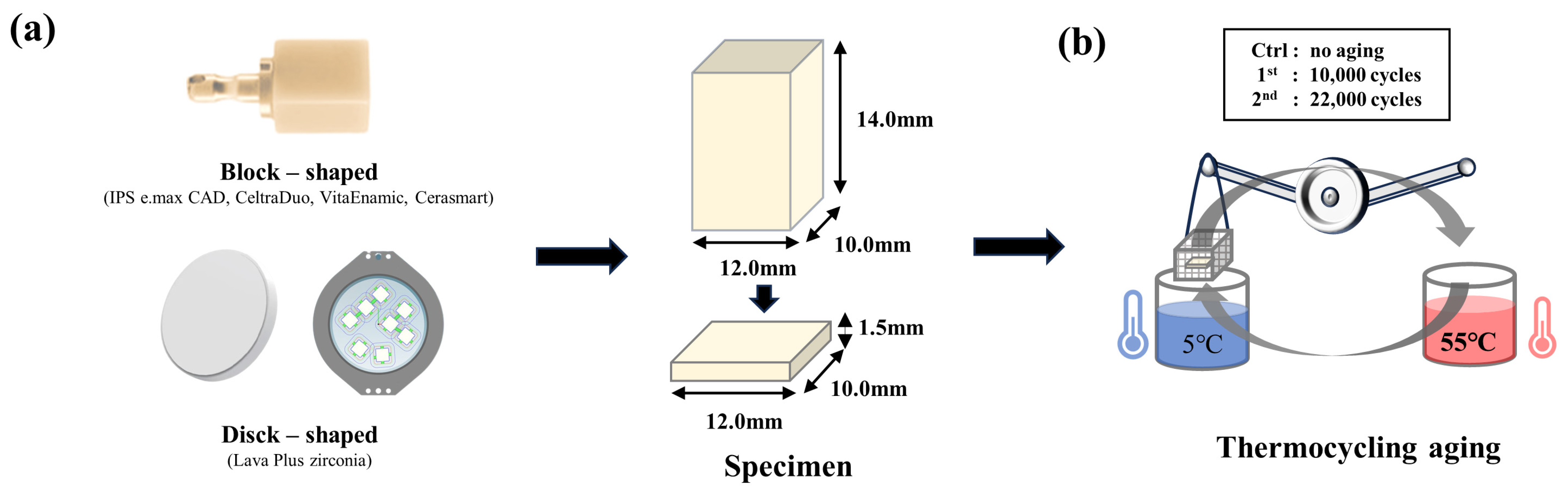 Pharmaceutics 15 02122 g001