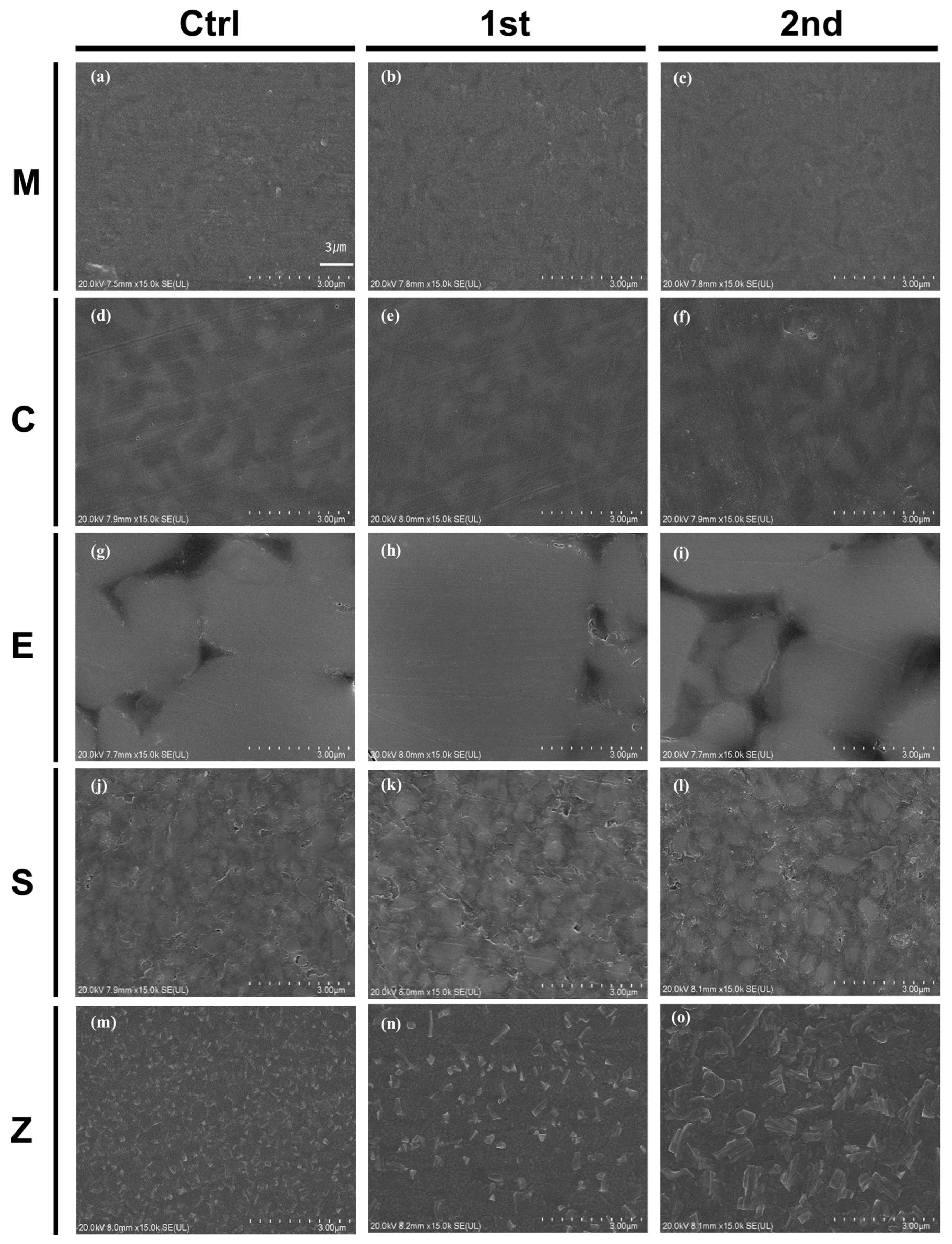 Pharmaceutics 15 02122 g003