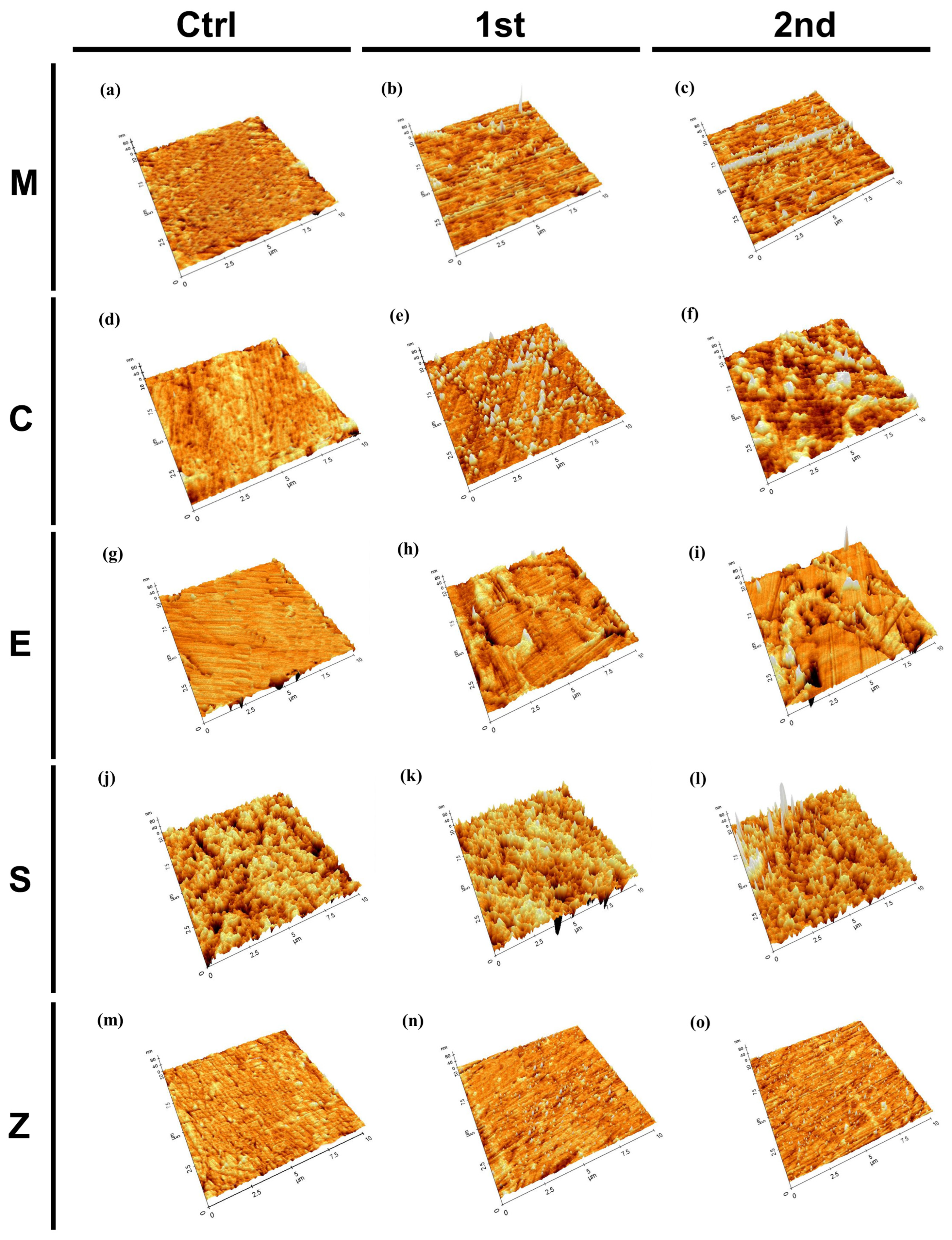 Pharmaceutics 15 02122 g004
