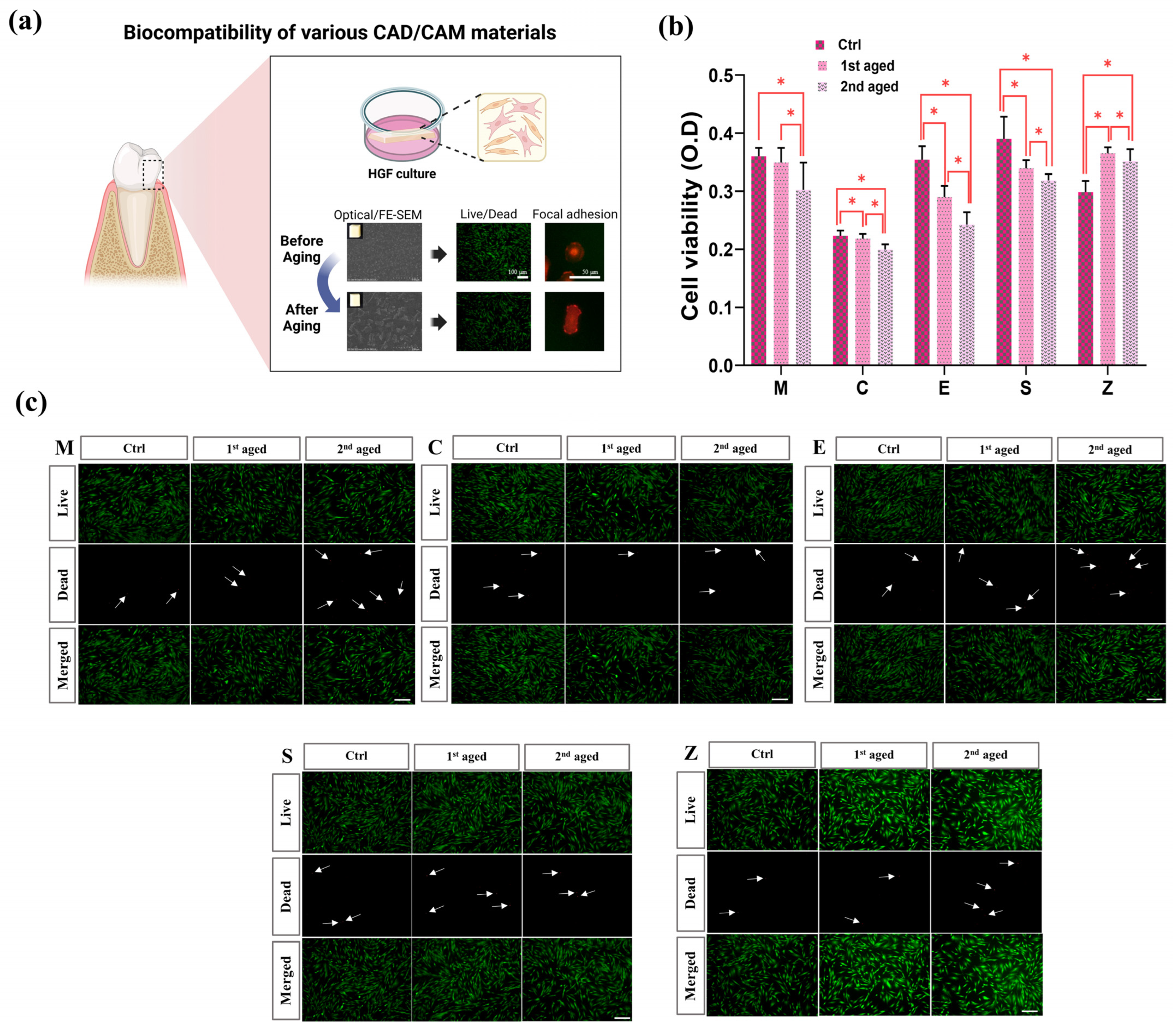 Pharmaceutics 15 02122 g006