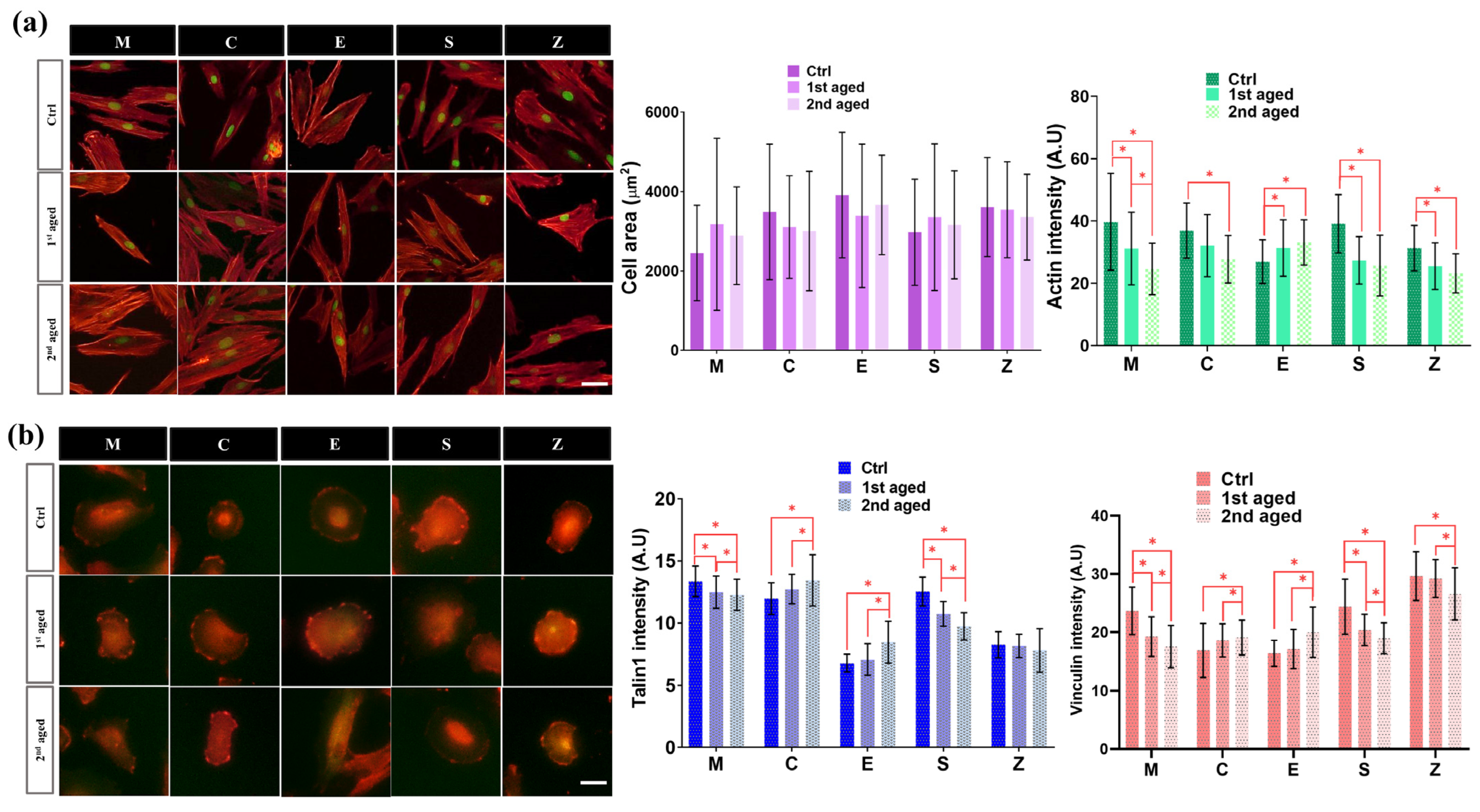 Pharmaceutics 15 02122 g007