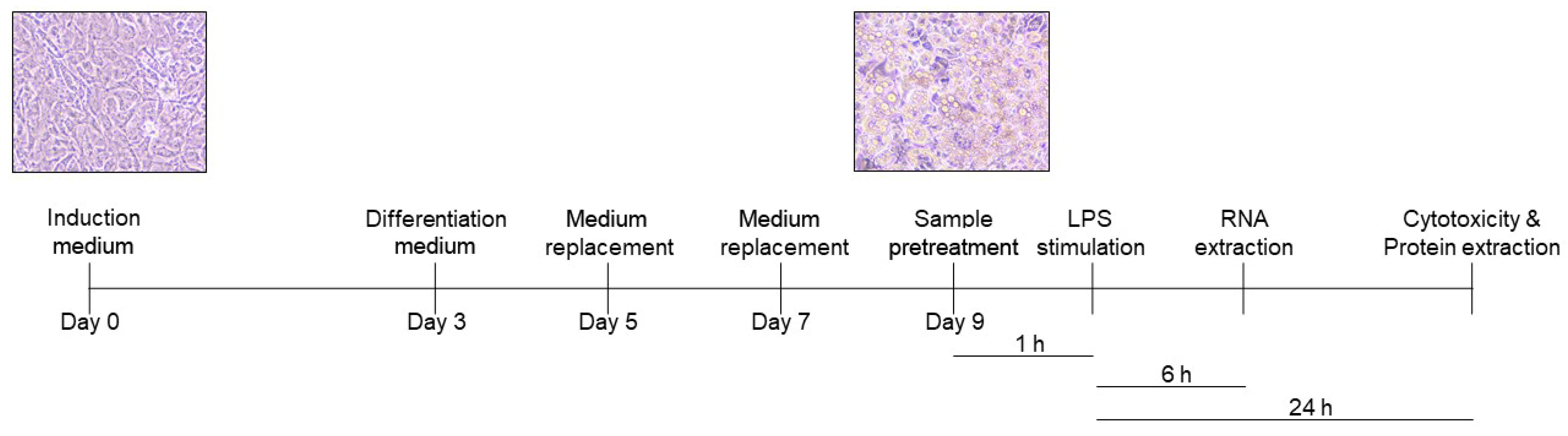 Pharmaceutics 15 02123 g002 Pharmaceutics 15 02123 g002