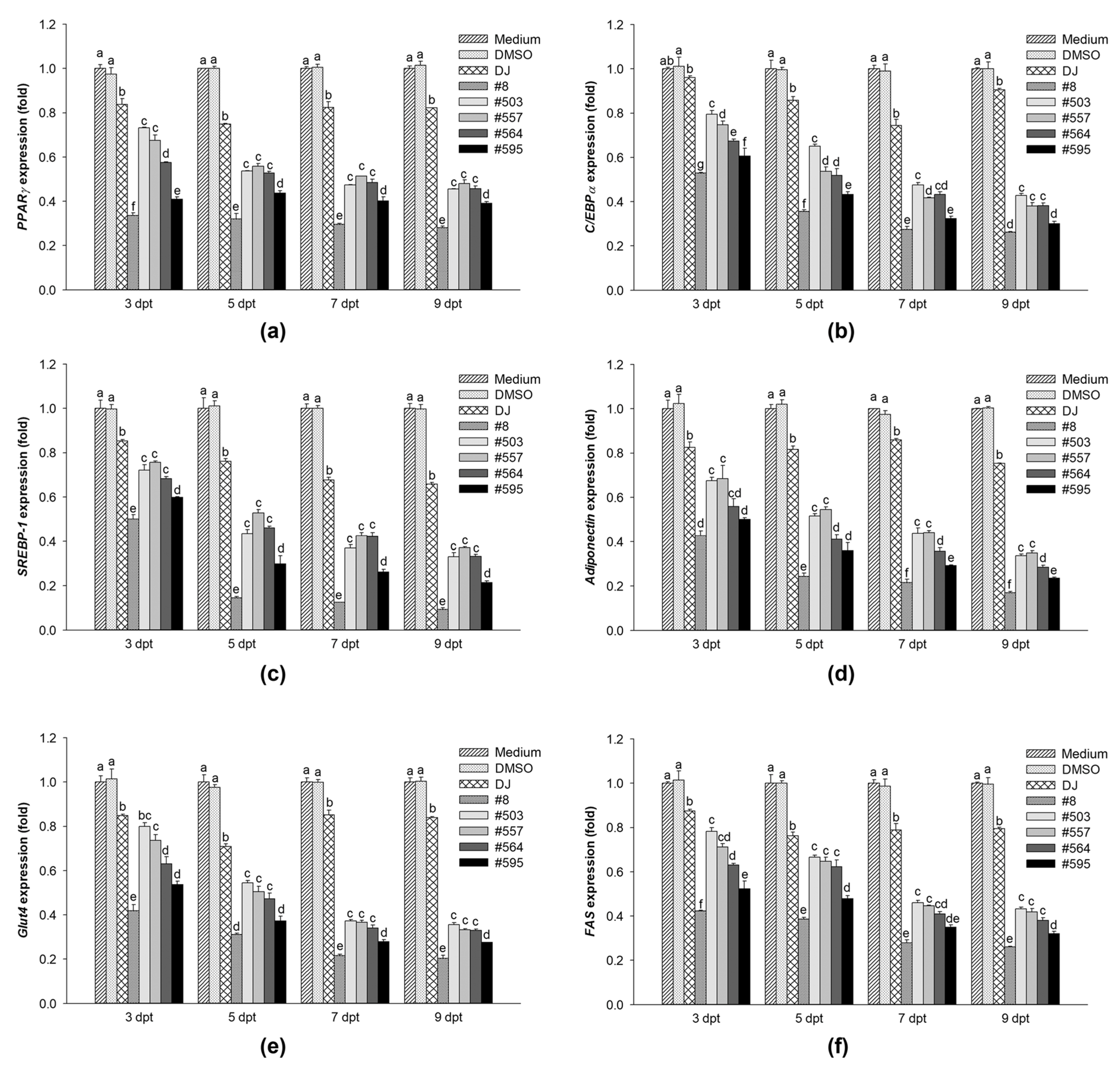 Pharmaceutics 15 02123 g006 Pharmaceutics 15 02123 g006