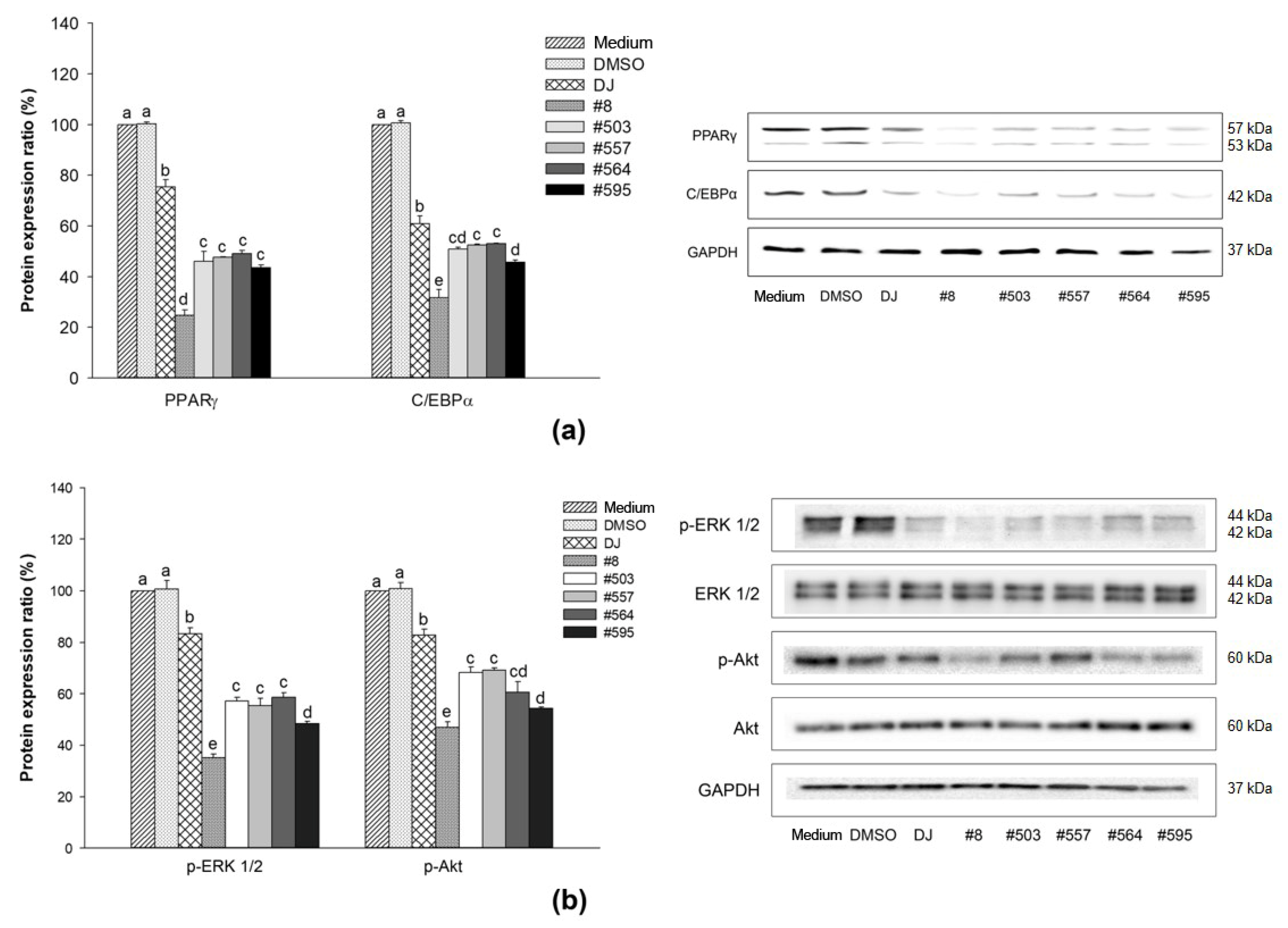 Pharmaceutics 15 02123 g007 Pharmaceutics 15 02123 g007