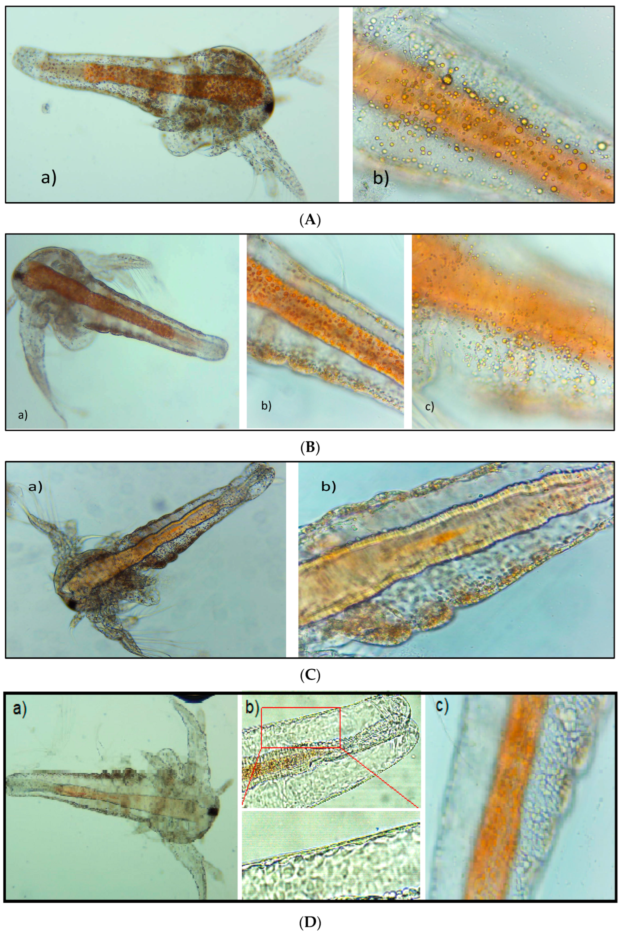 Pharmaceutics 15 02125 g001
