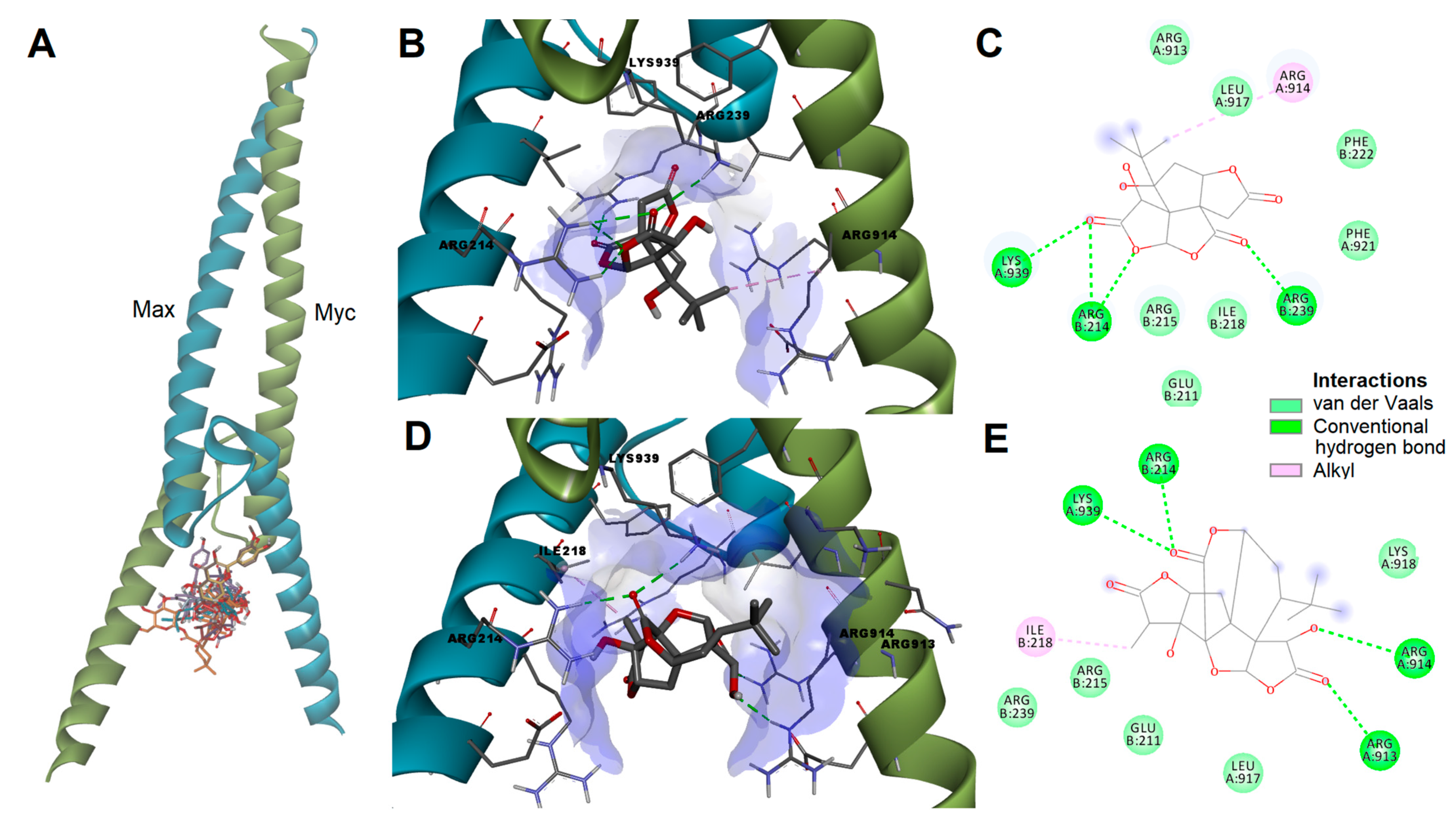 Pharmaceutics 15 02125 g007