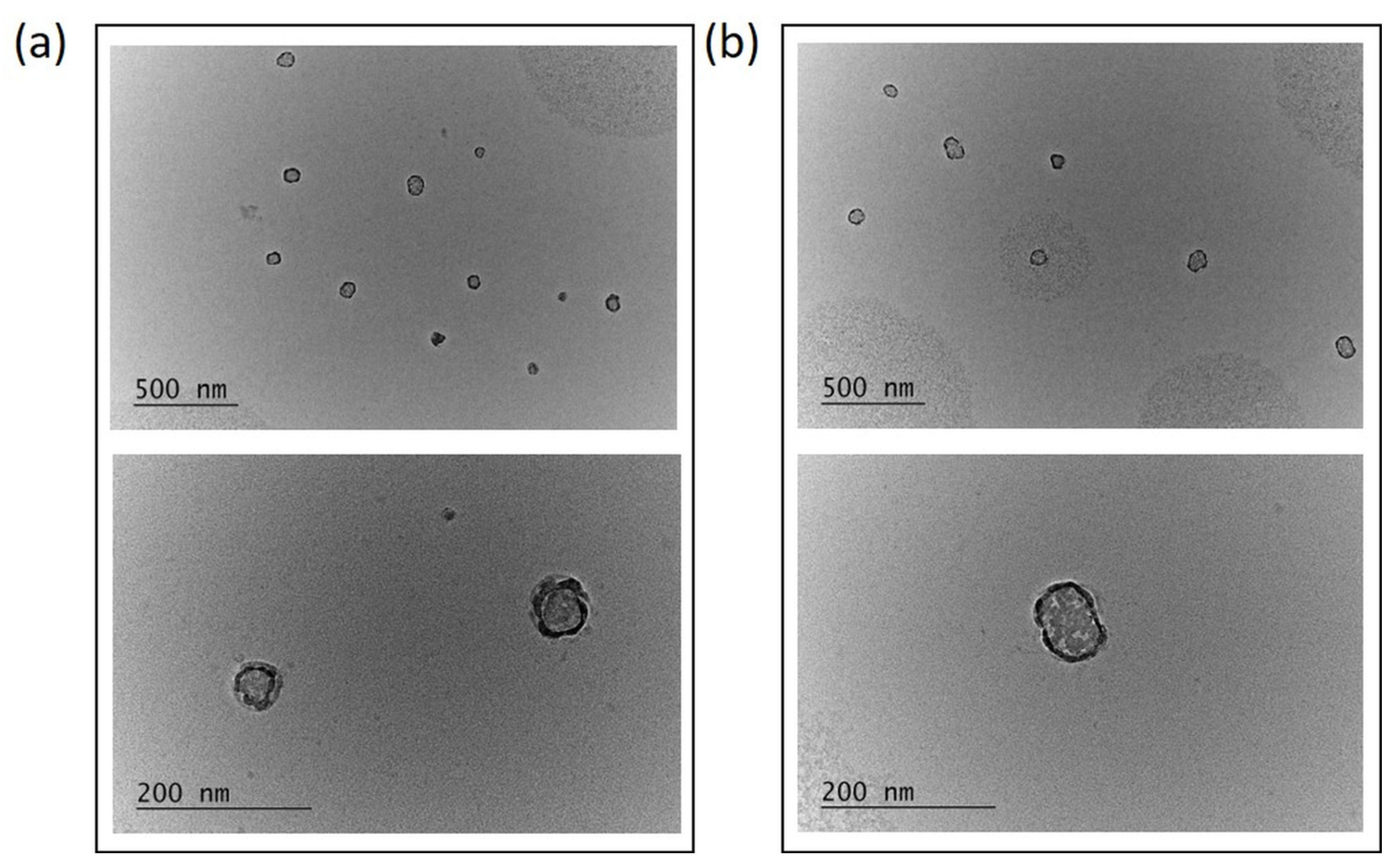 Pharmaceutics 15 02128 g005