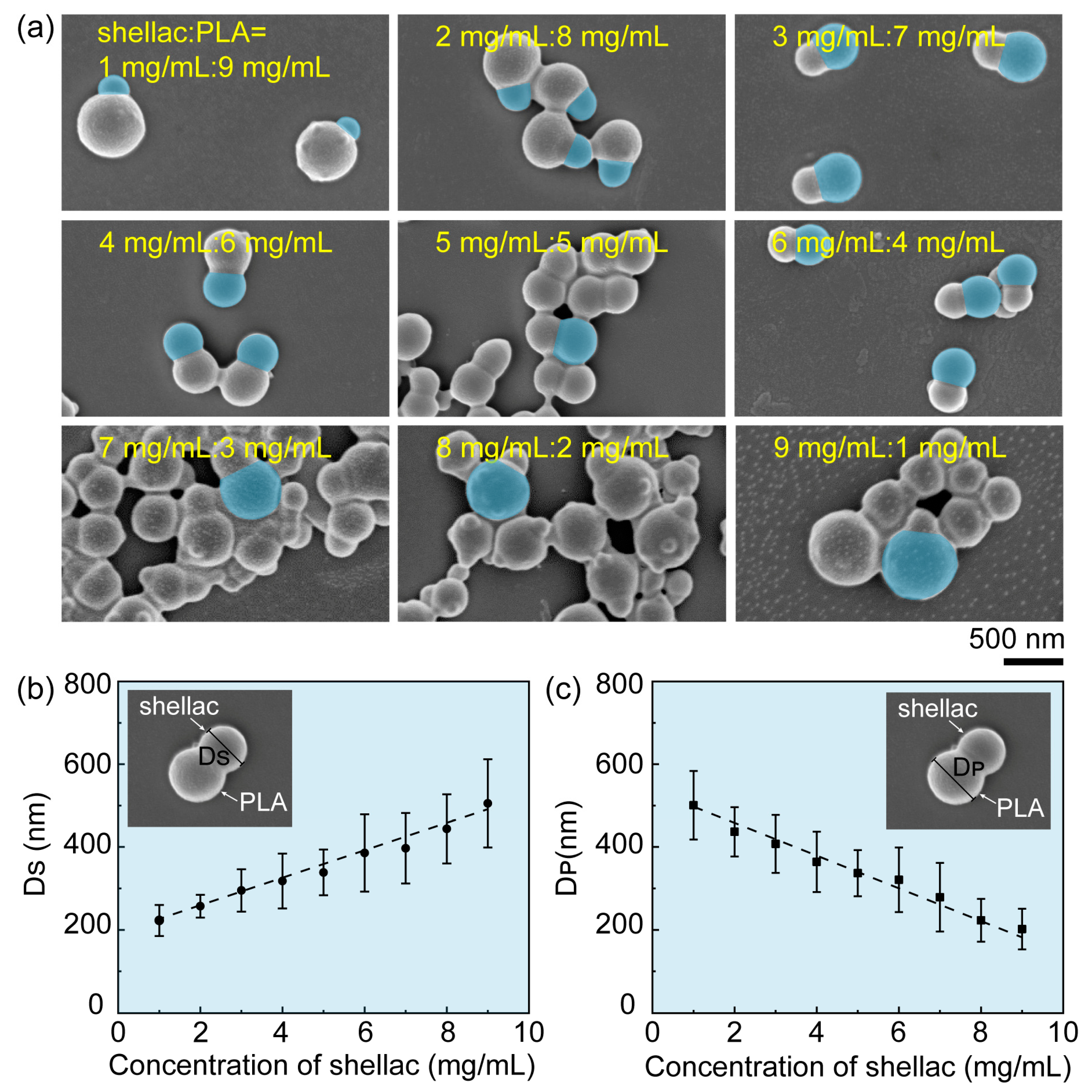 Pharmaceutics 15 02132 g003