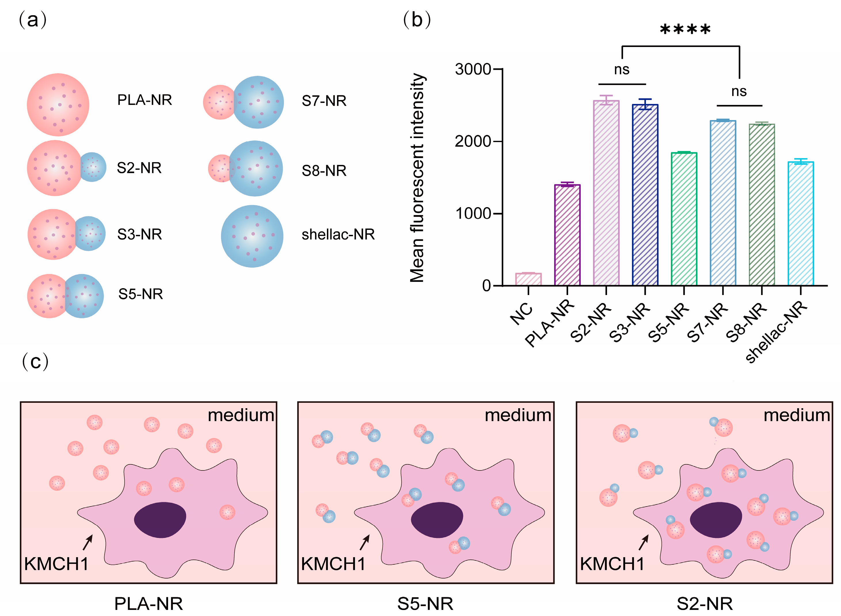 Pharmaceutics 15 02132 g006