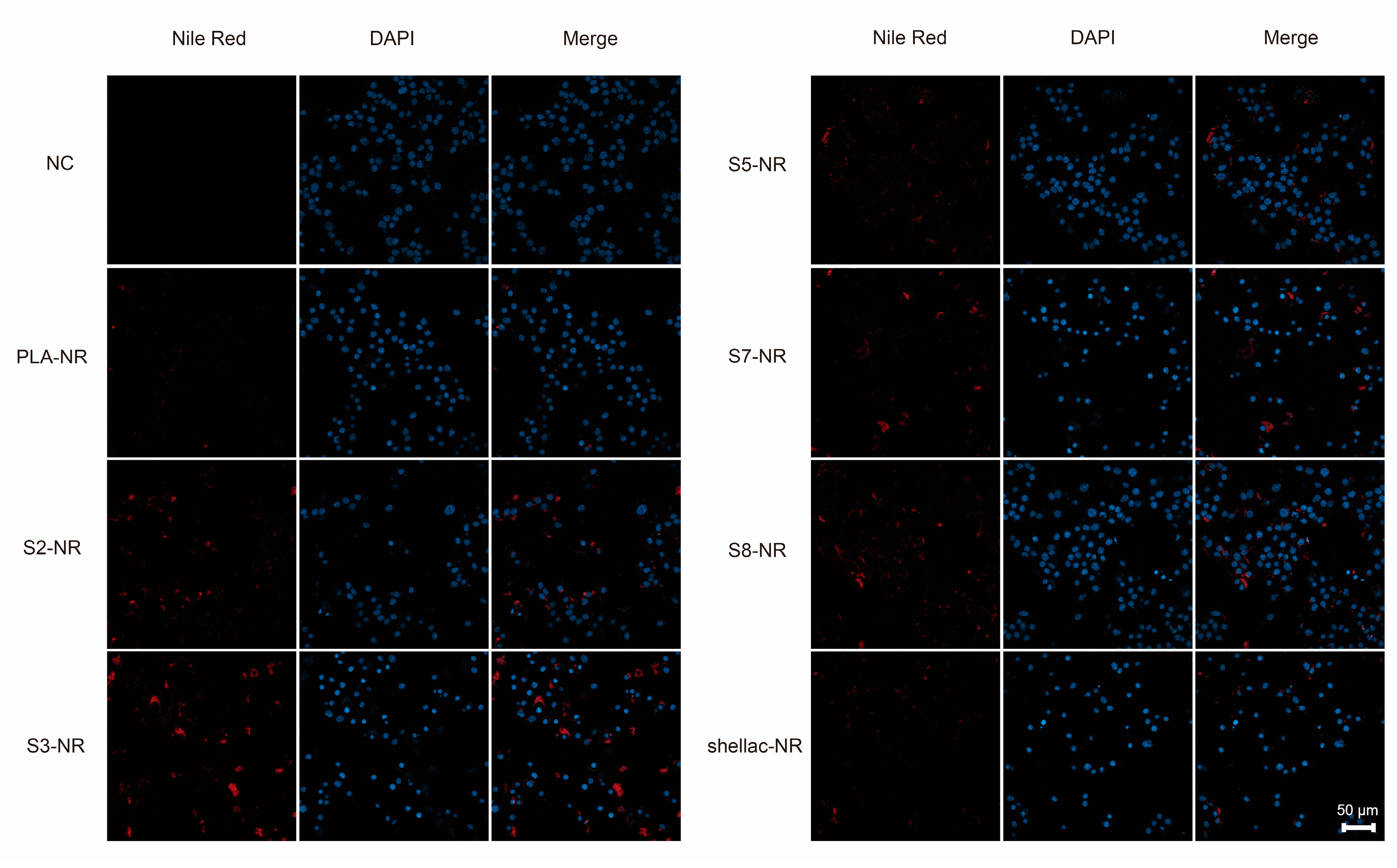 Pharmaceutics 15 02132 g007