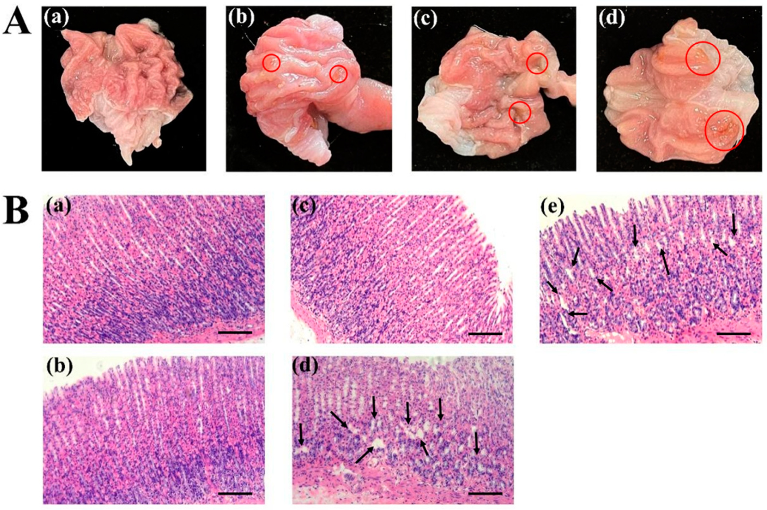 Pharmaceutics 15 02135 g002