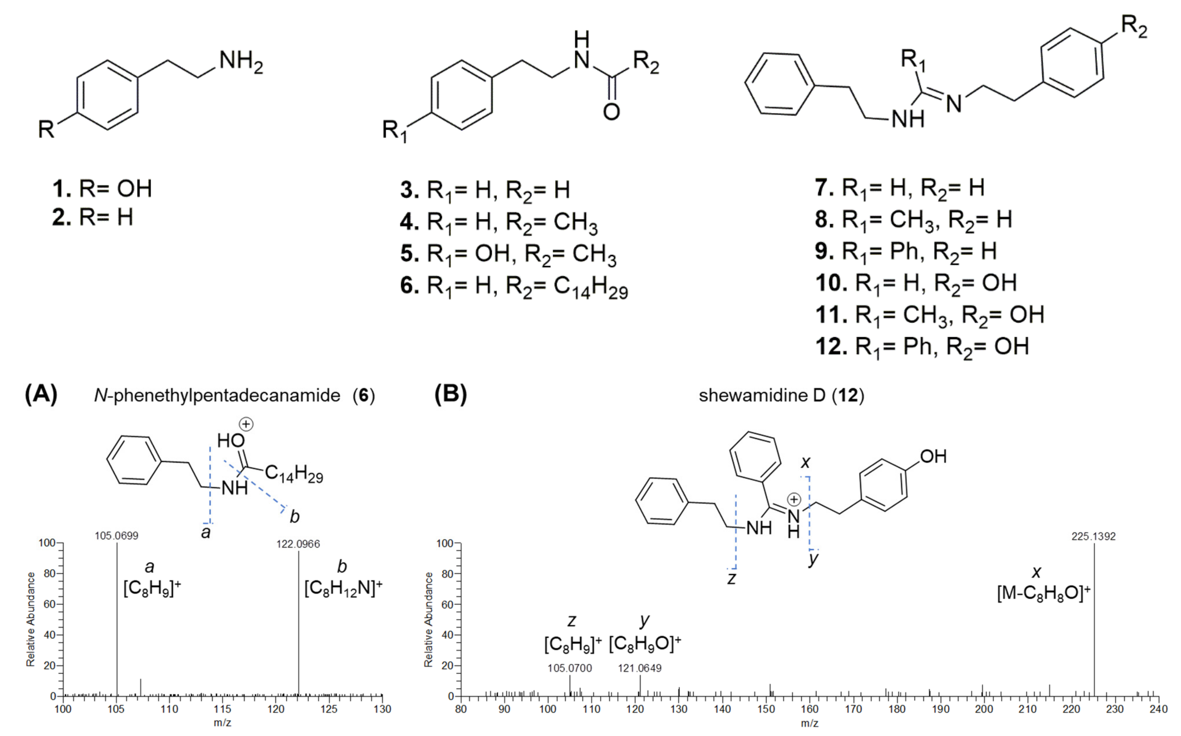 Pharmaceutics 15 02139 g002