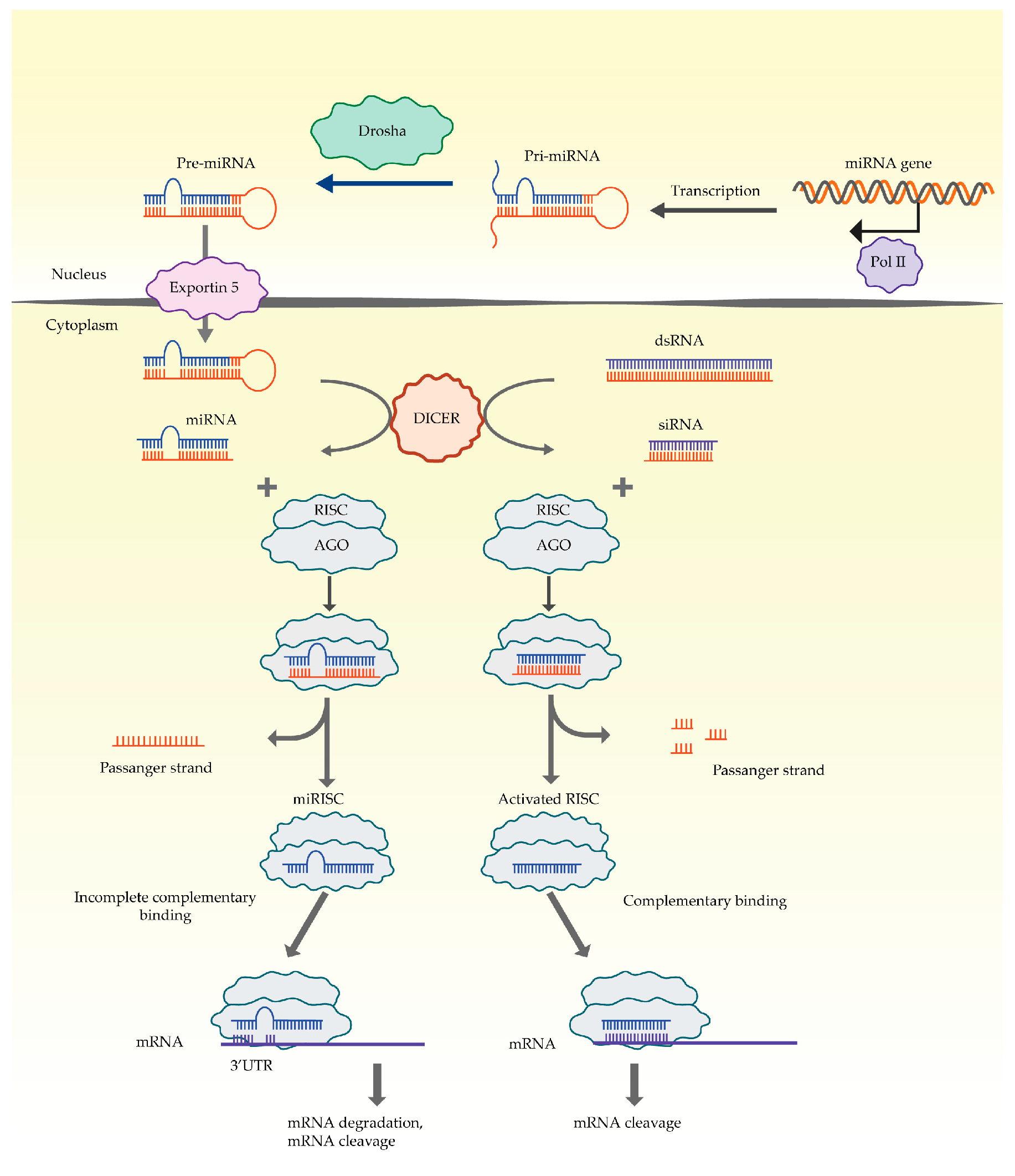 Pharmaceutics 15 02141 g001 Pharmaceutics 15 02141 g001