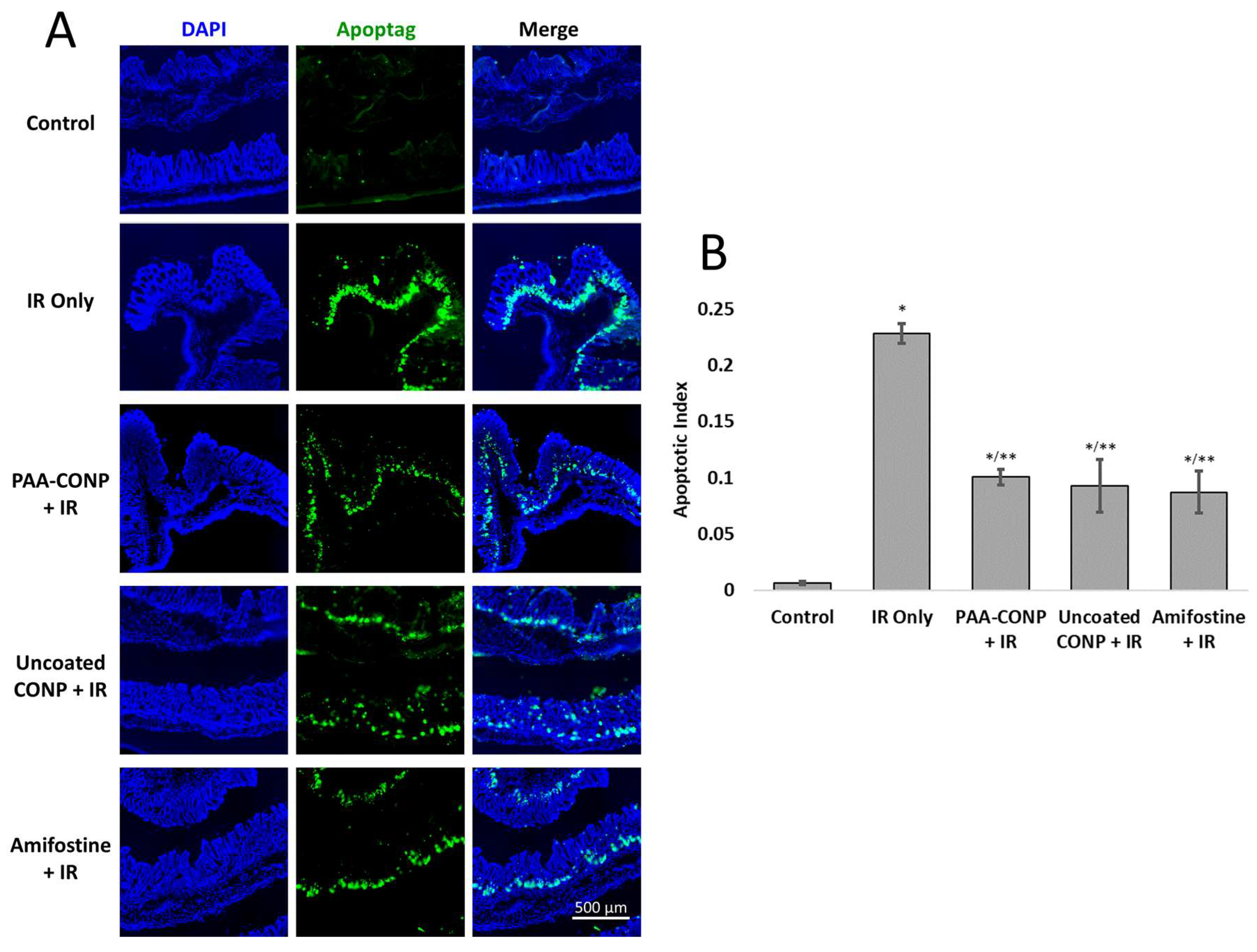 Pharmaceutics 15 02144 g001