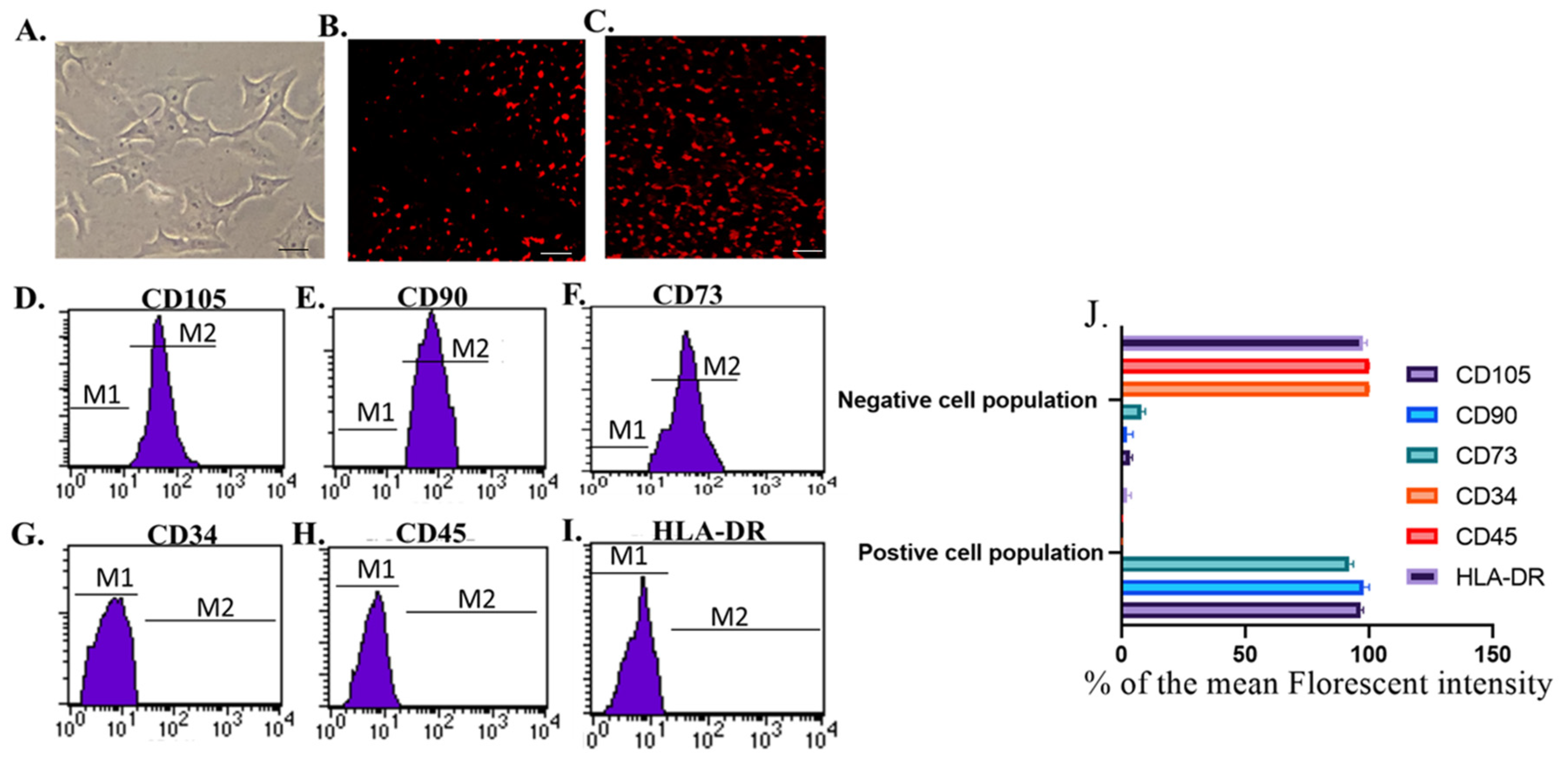 Pharmaceutics 15 02149 g001