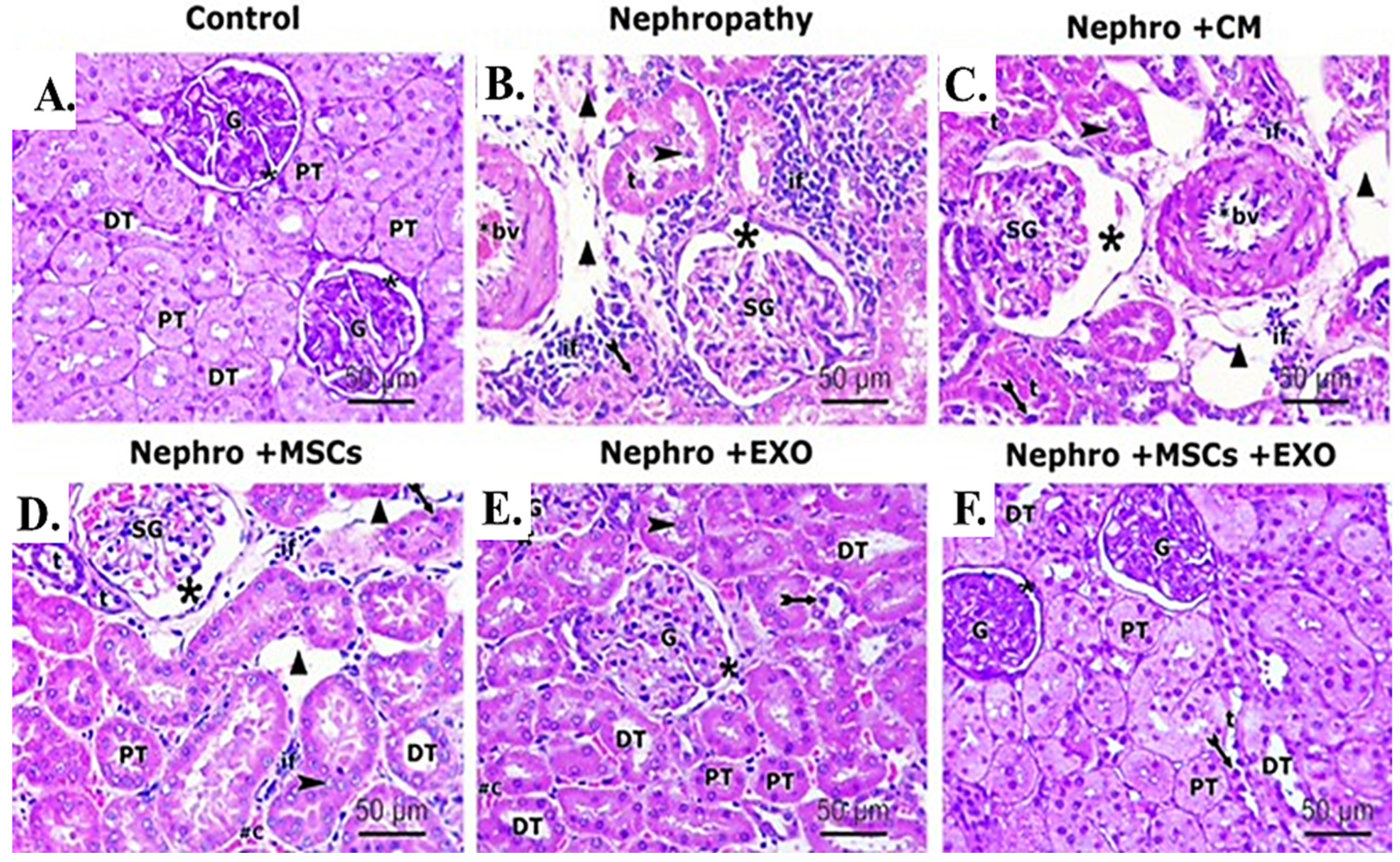 Pharmaceutics 15 02149 g006