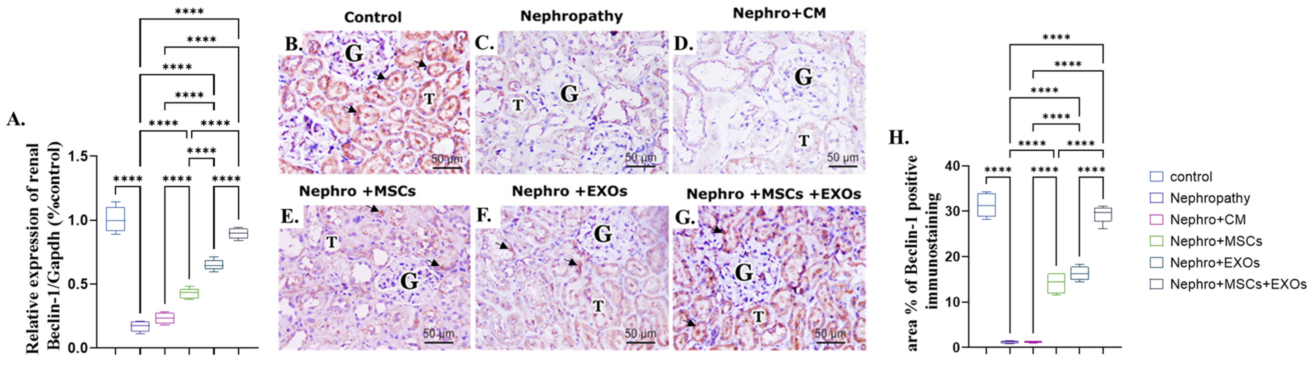 Pharmaceutics 15 02149 g007