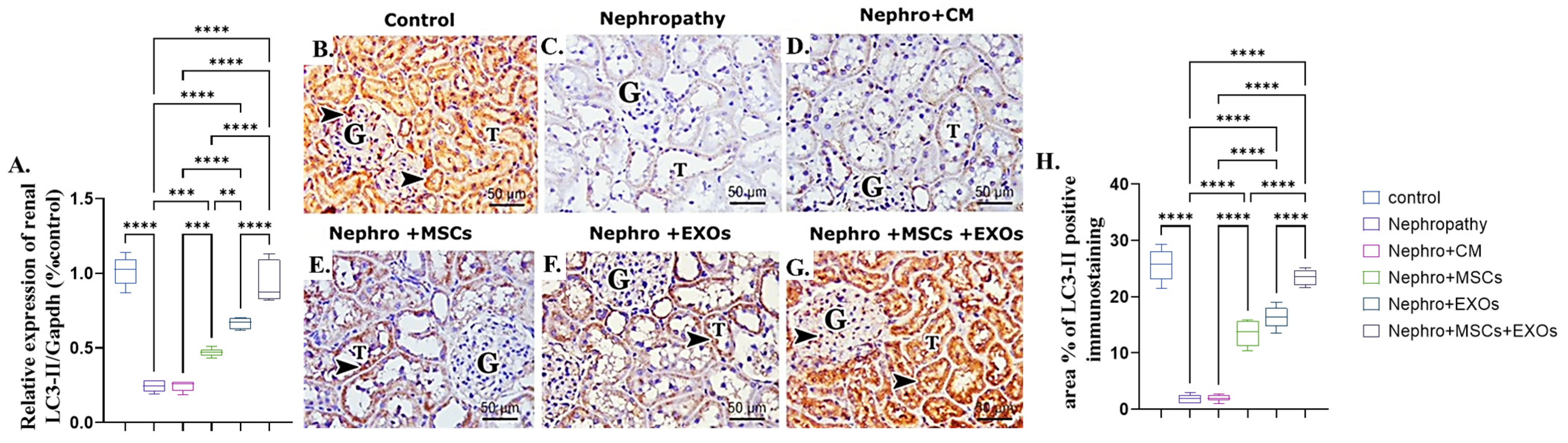 Pharmaceutics 15 02149 g008