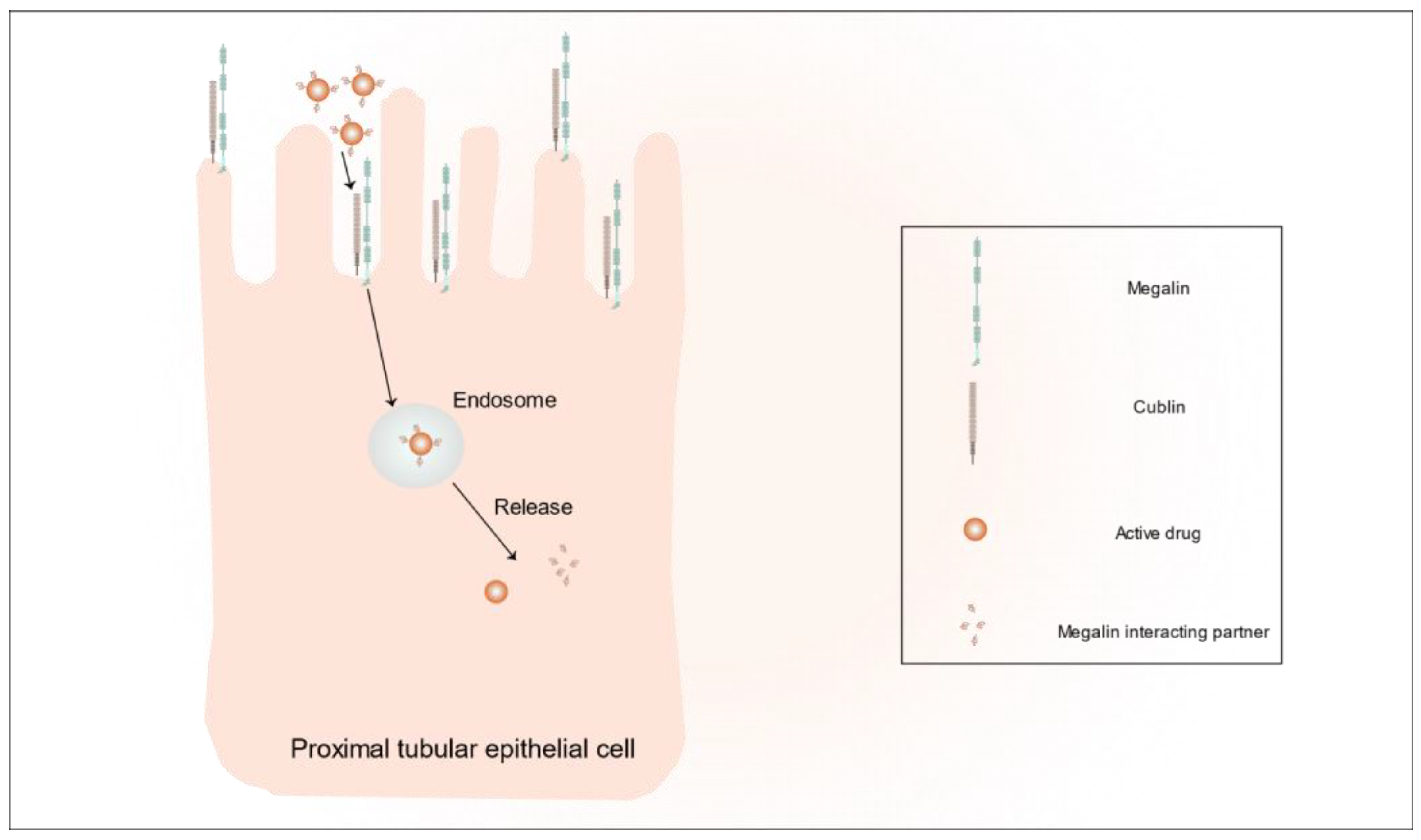 Pharmaceutics 15 02150 g001