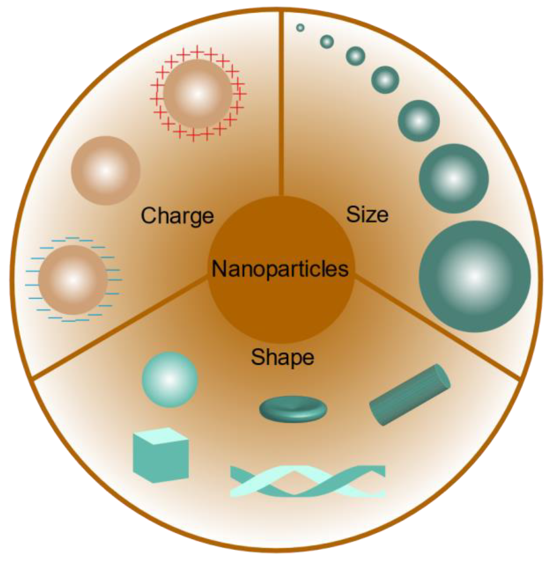 Pharmaceutics 15 02150 g002
