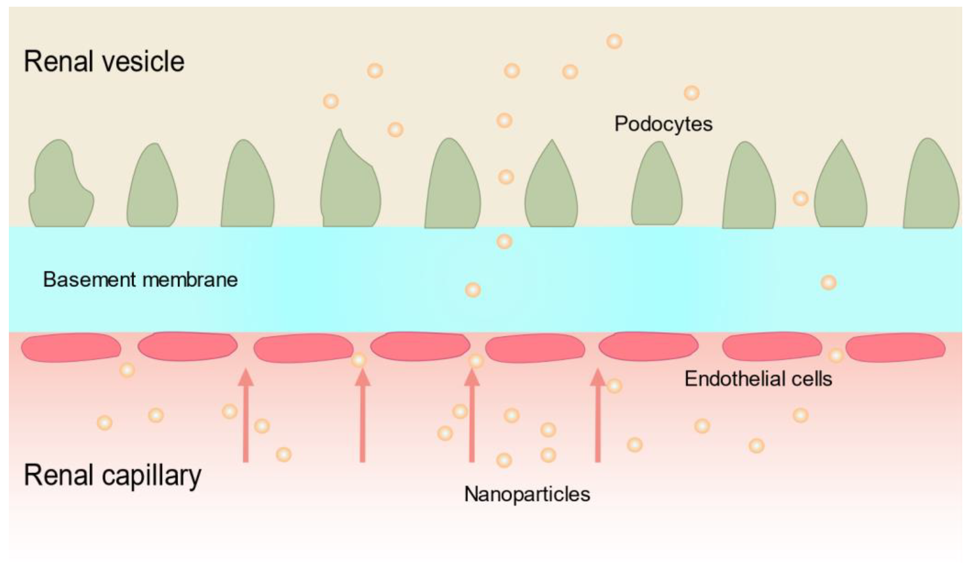 Pharmaceutics 15 02150 g003