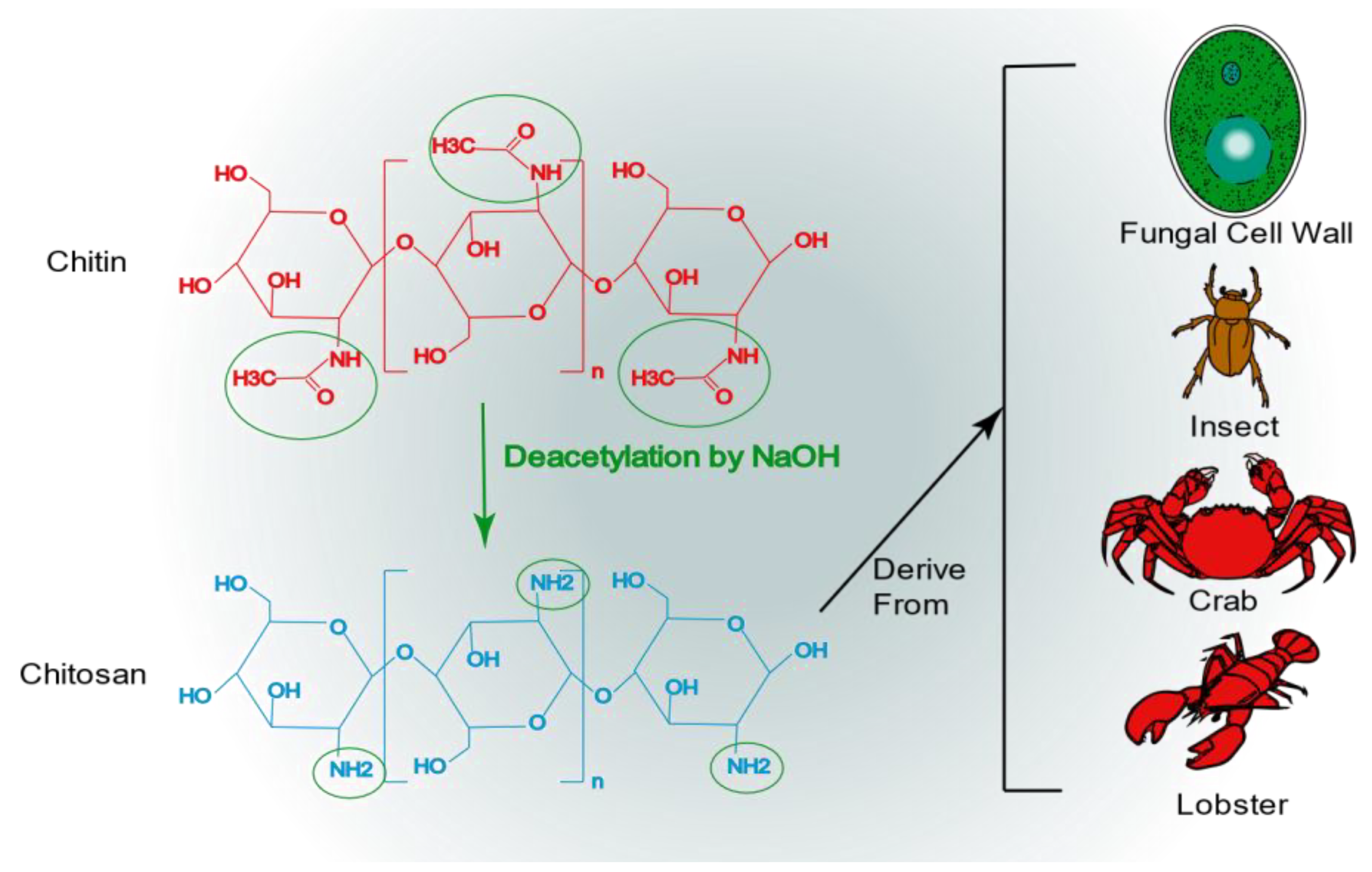 Pharmaceutics 15 02150 g004