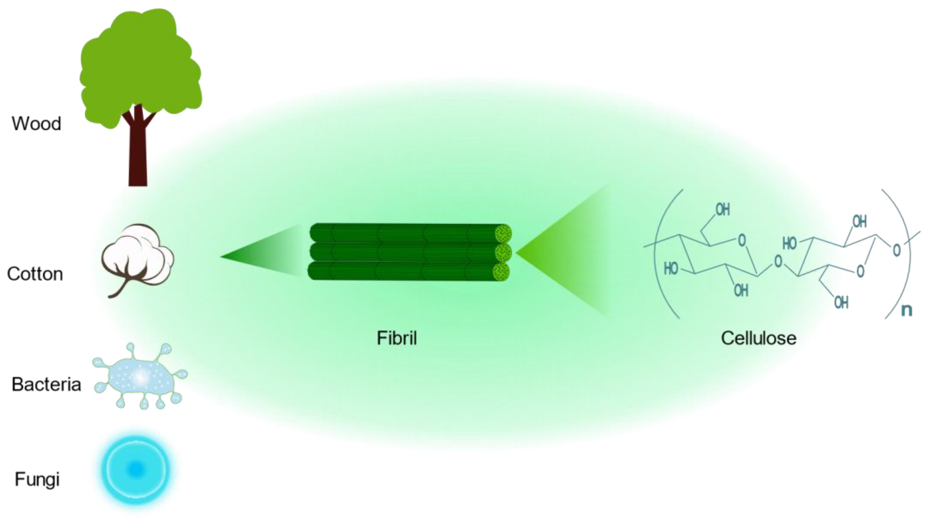 Pharmaceutics 15 02150 g005