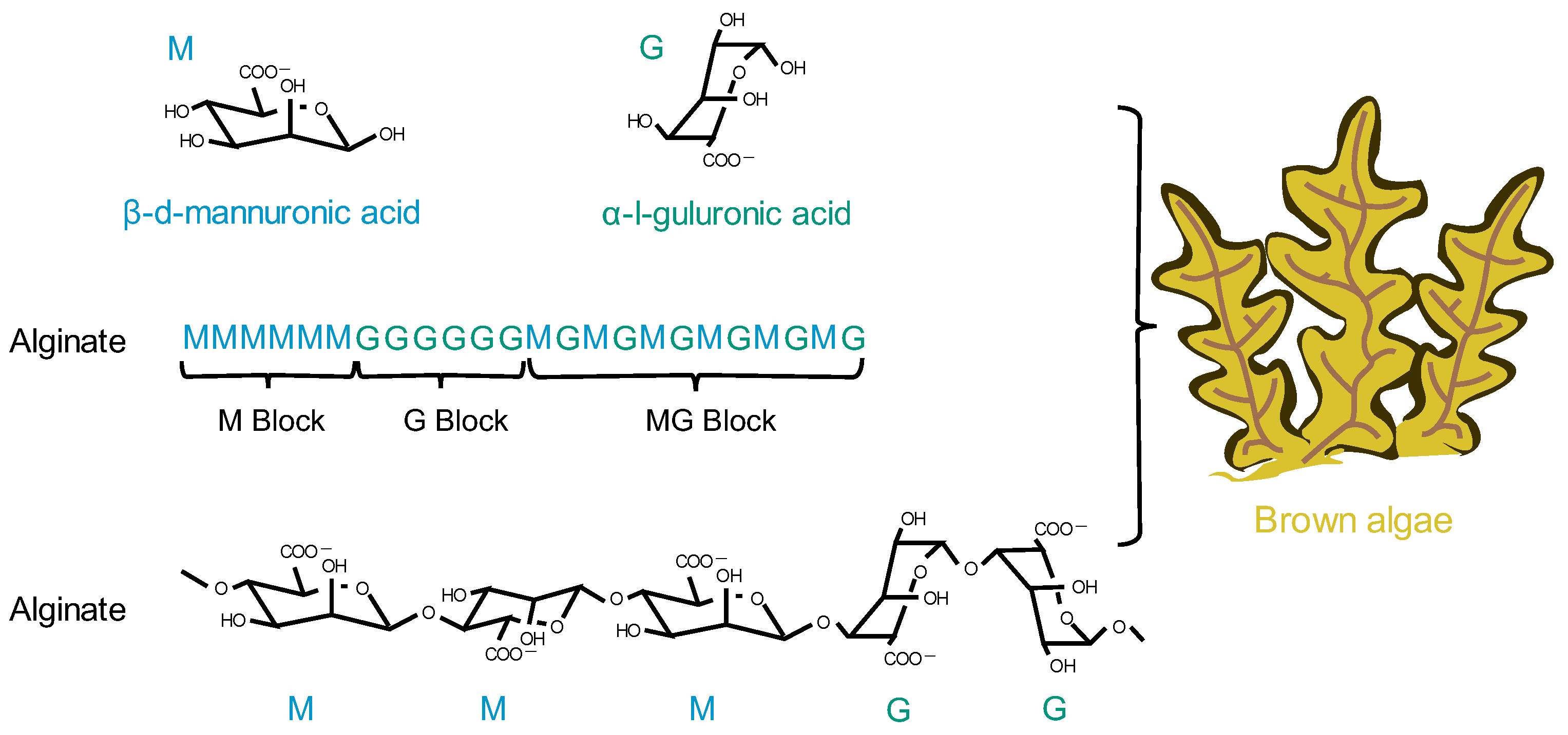 Pharmaceutics 15 02150 g006