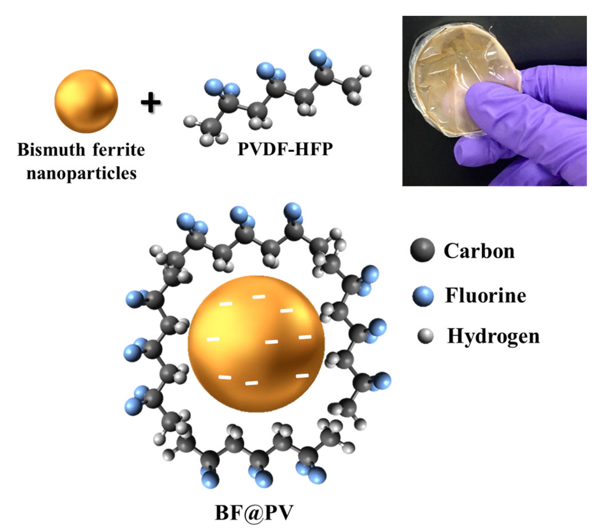 Pharmaceutics 15 02155 g002