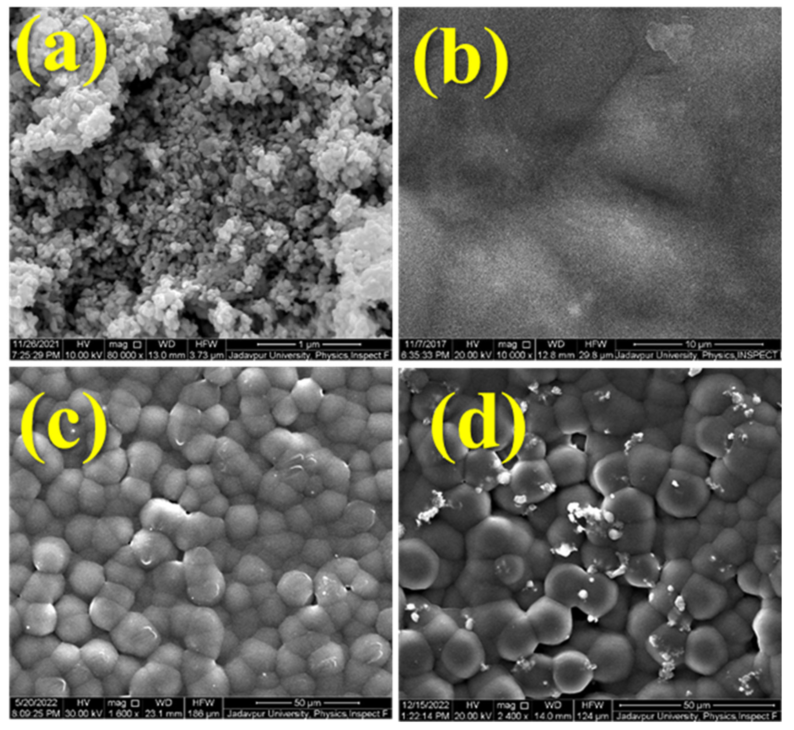Pharmaceutics 15 02155 g004