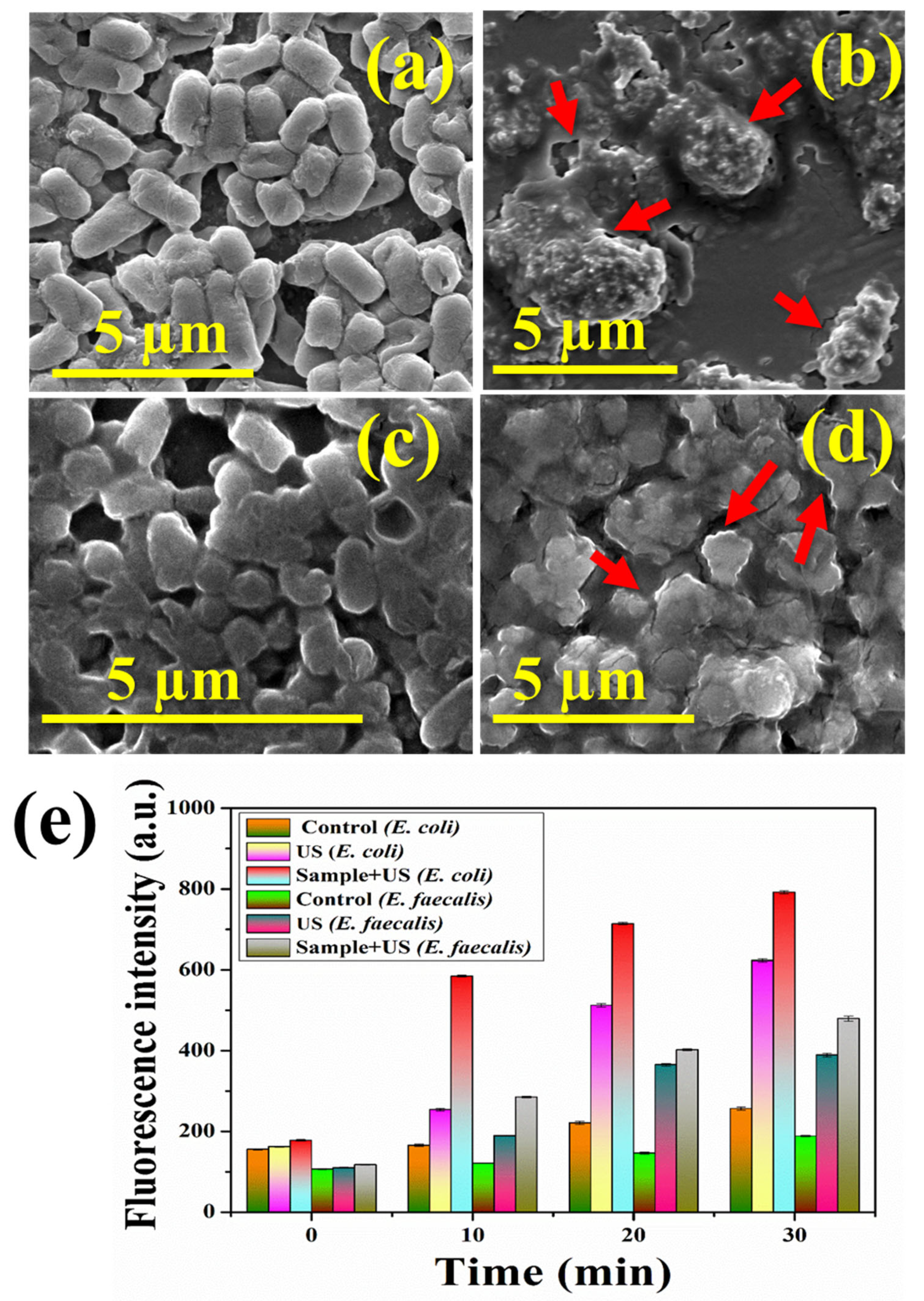 Pharmaceutics 15 02155 g008