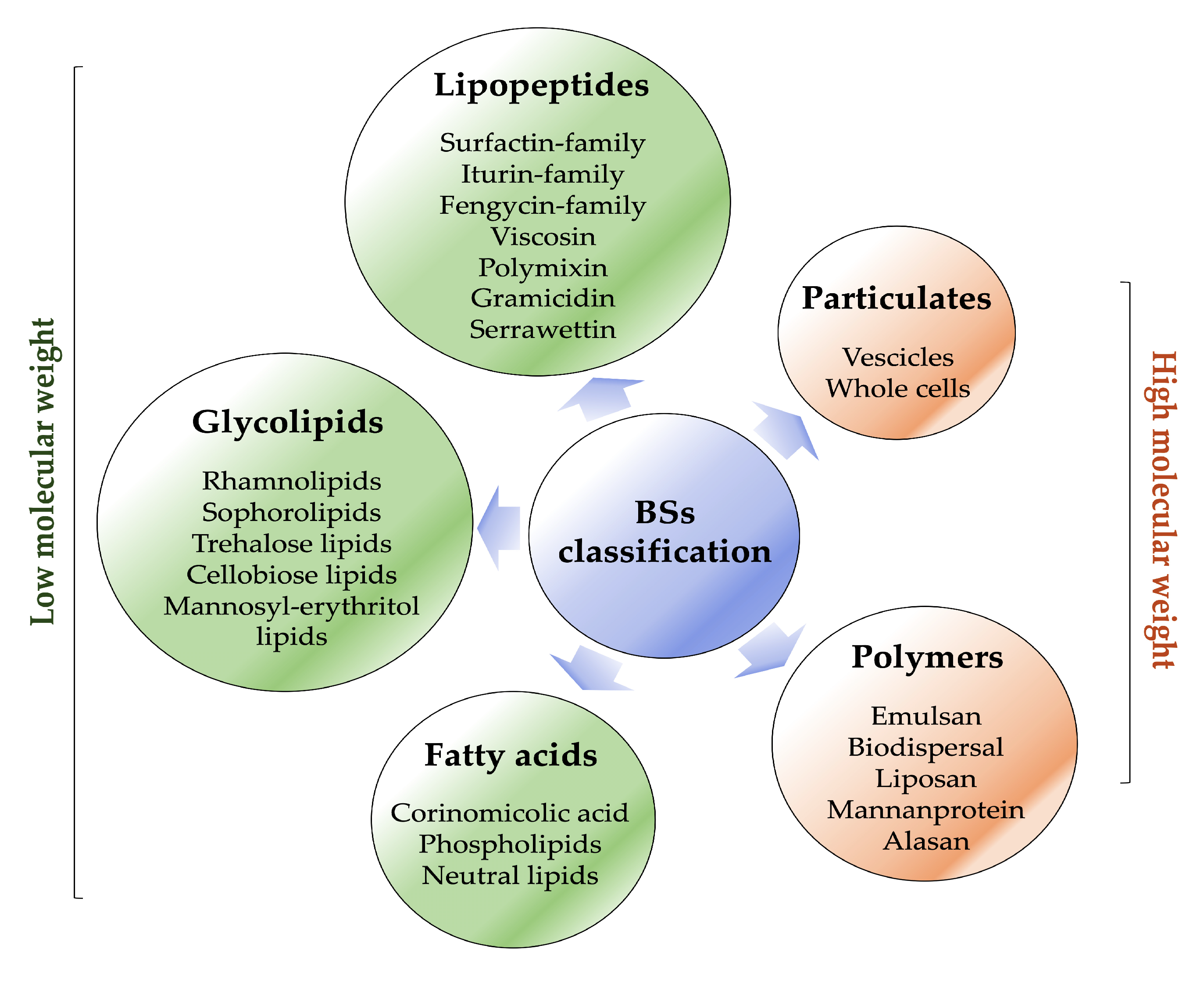 Pharmaceutics 15 02156 g003