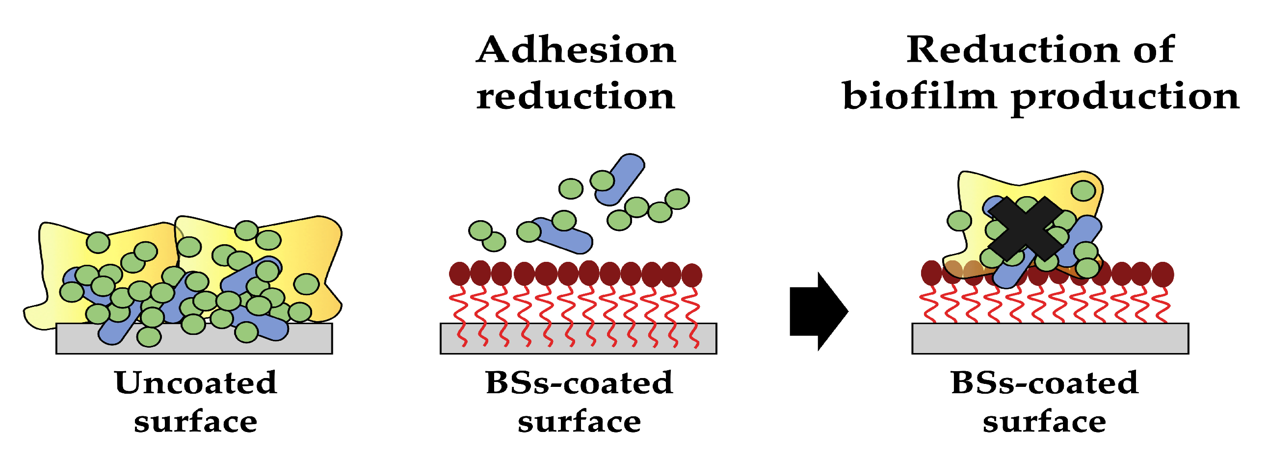 Pharmaceutics 15 02156 g005