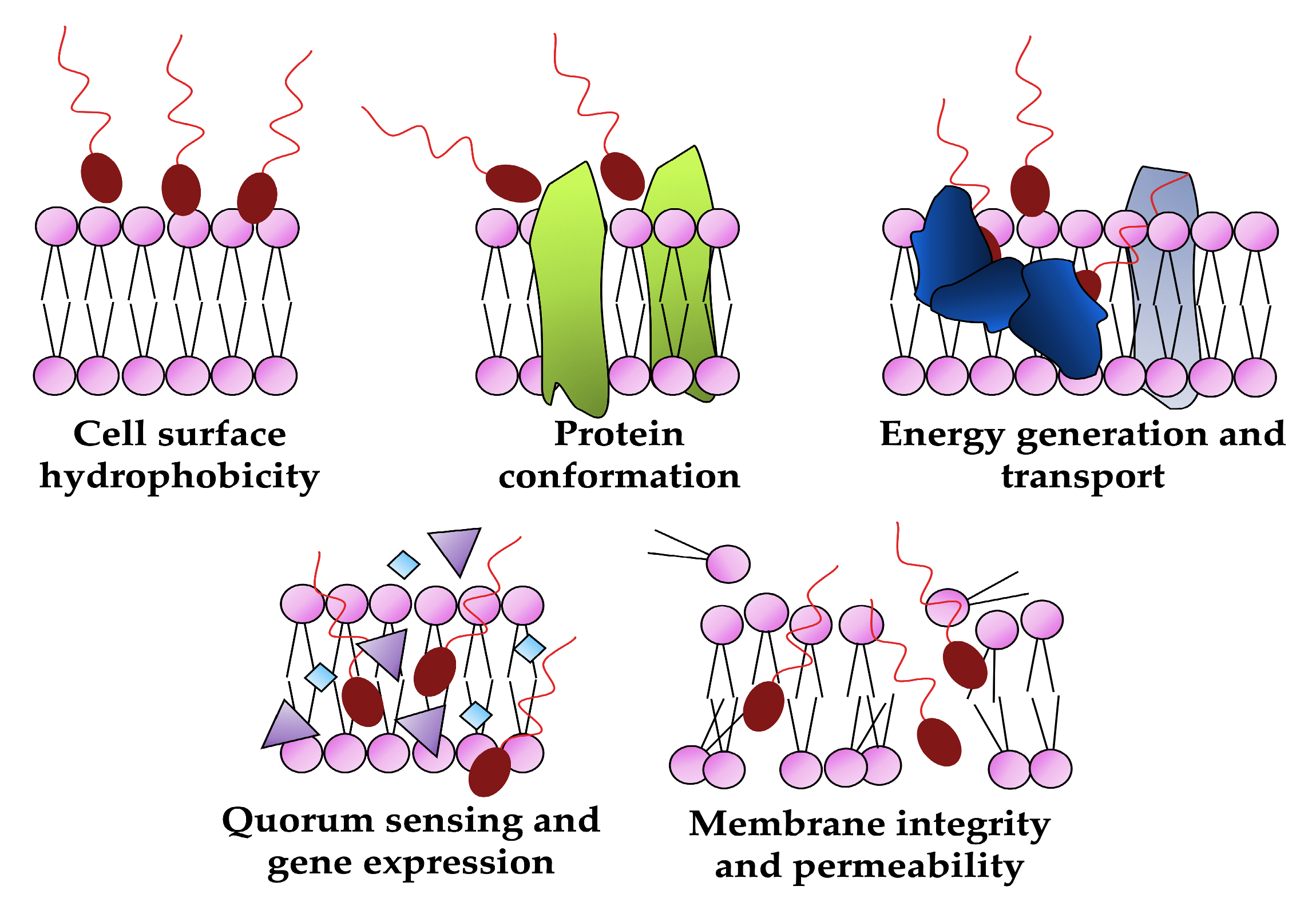 Pharmaceutics 15 02156 g006