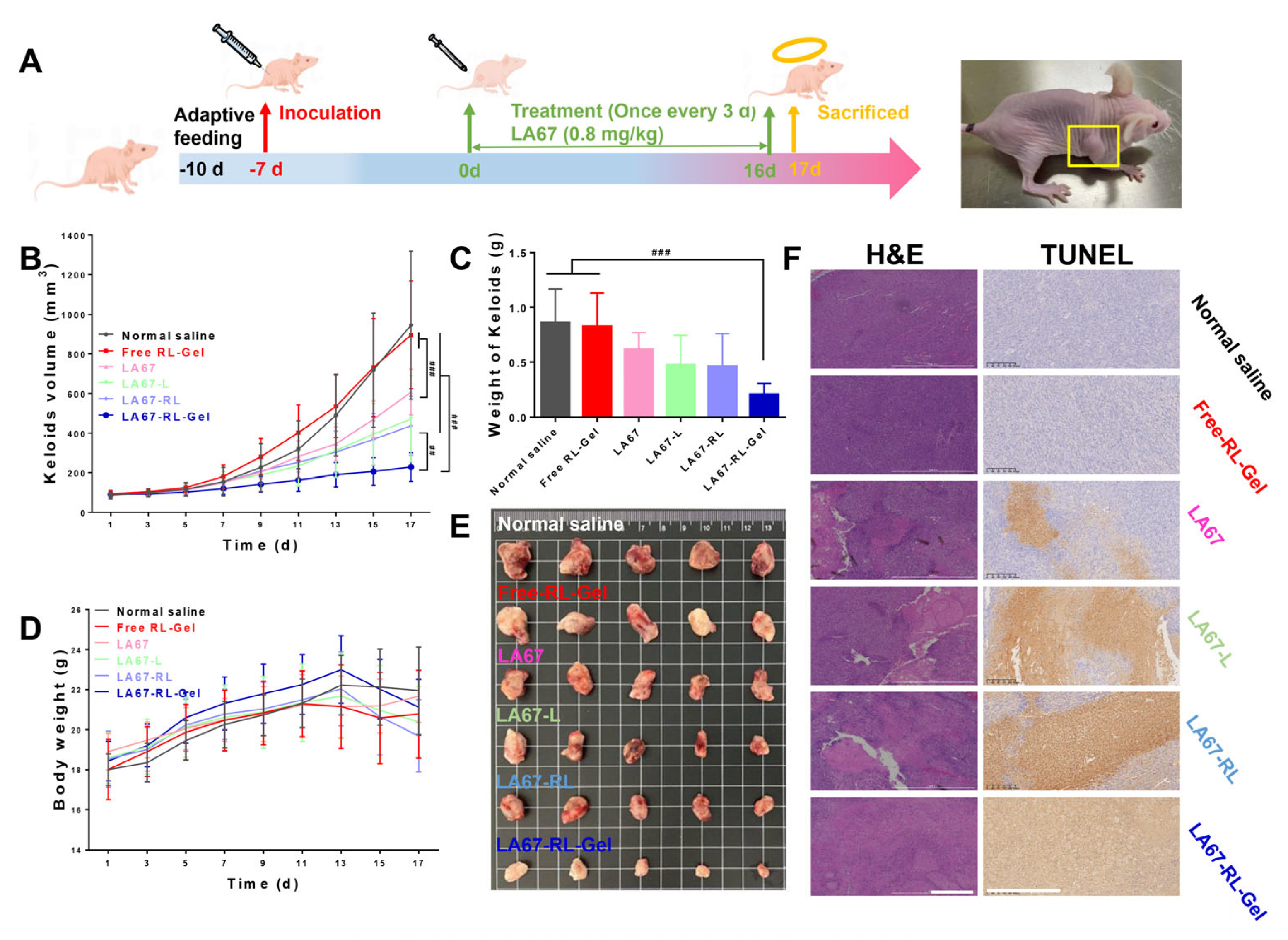 Pharmaceutics 15 02157 g007