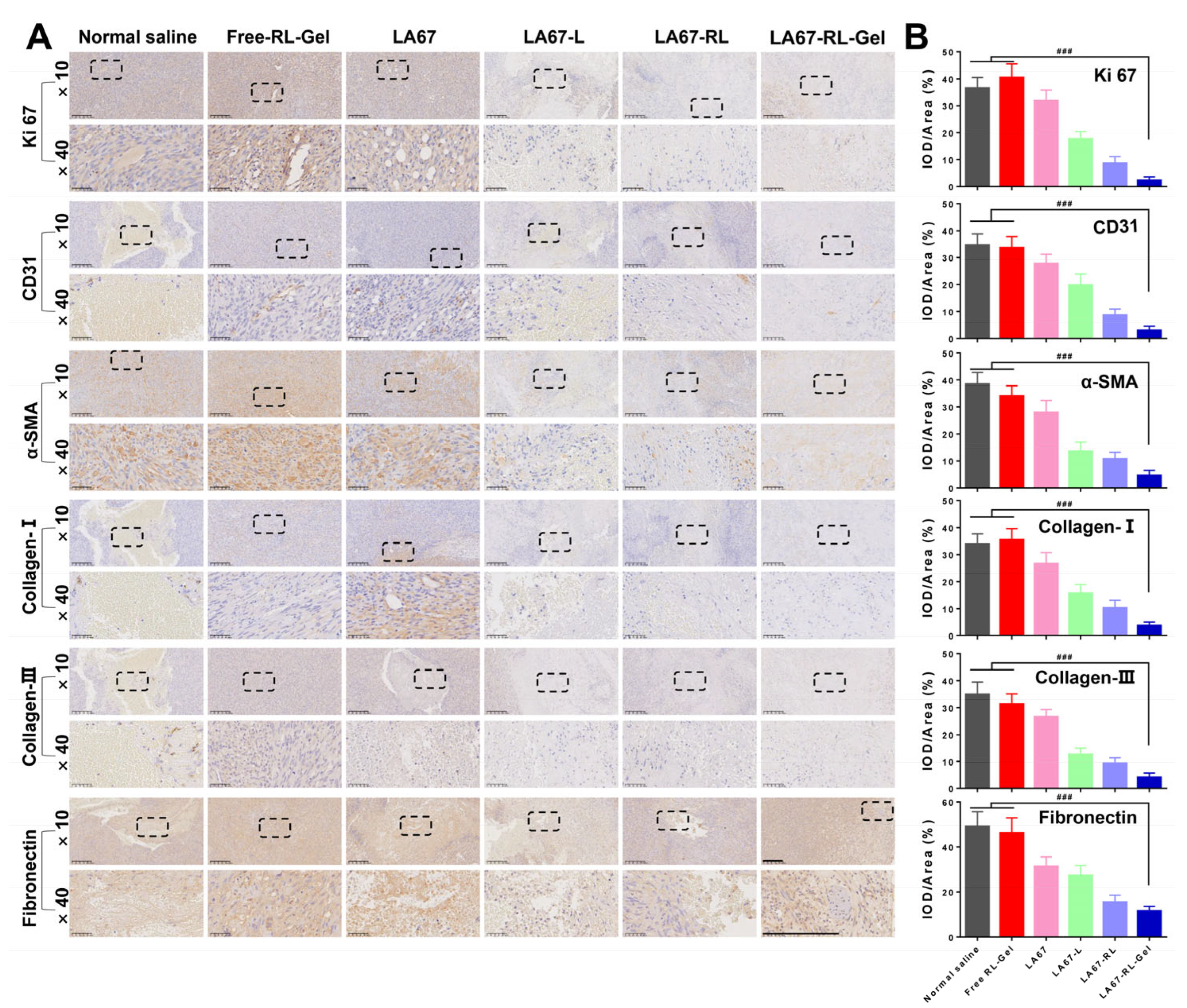 Pharmaceutics 15 02157 g008