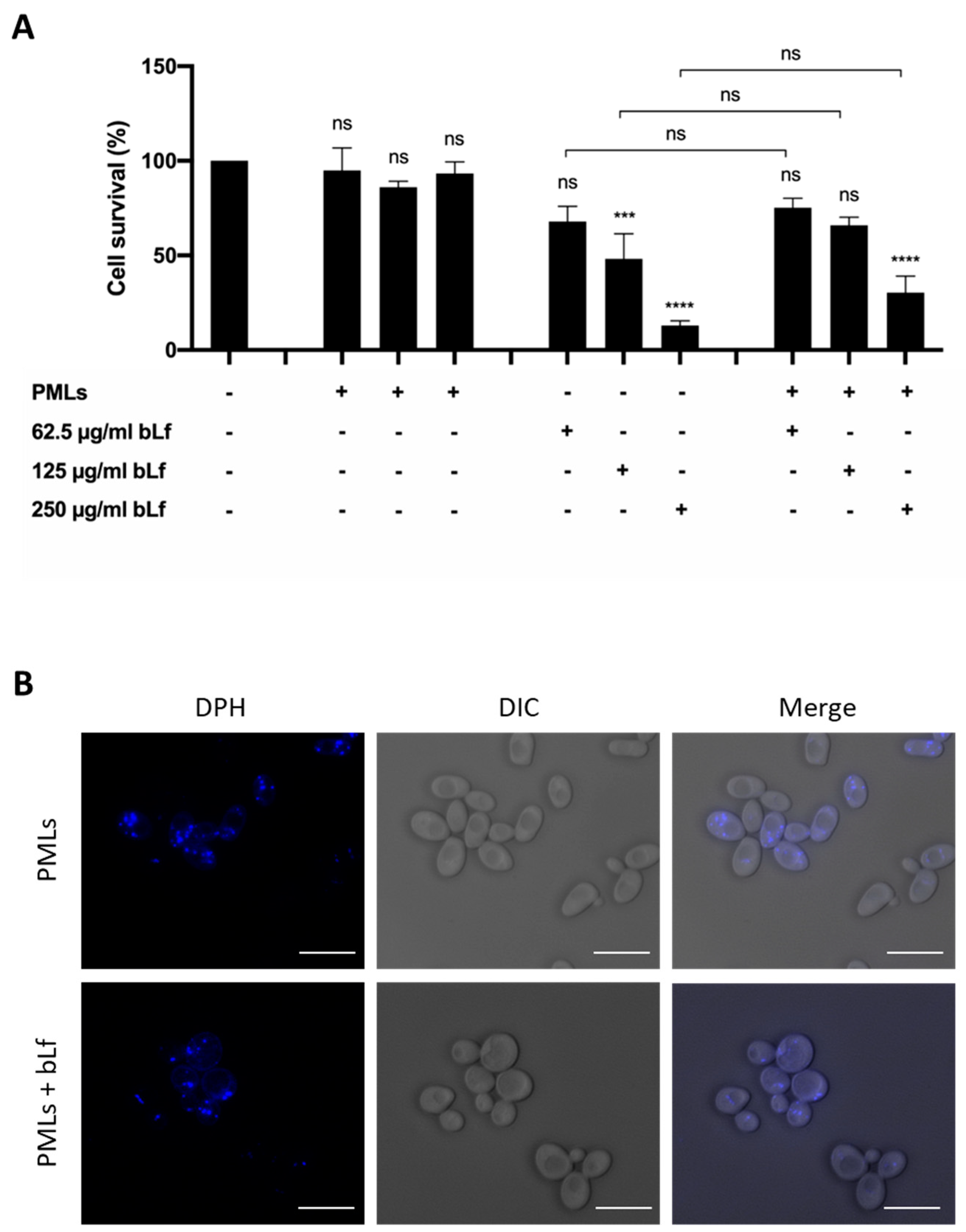 Pharmaceutics 15 02162 g013