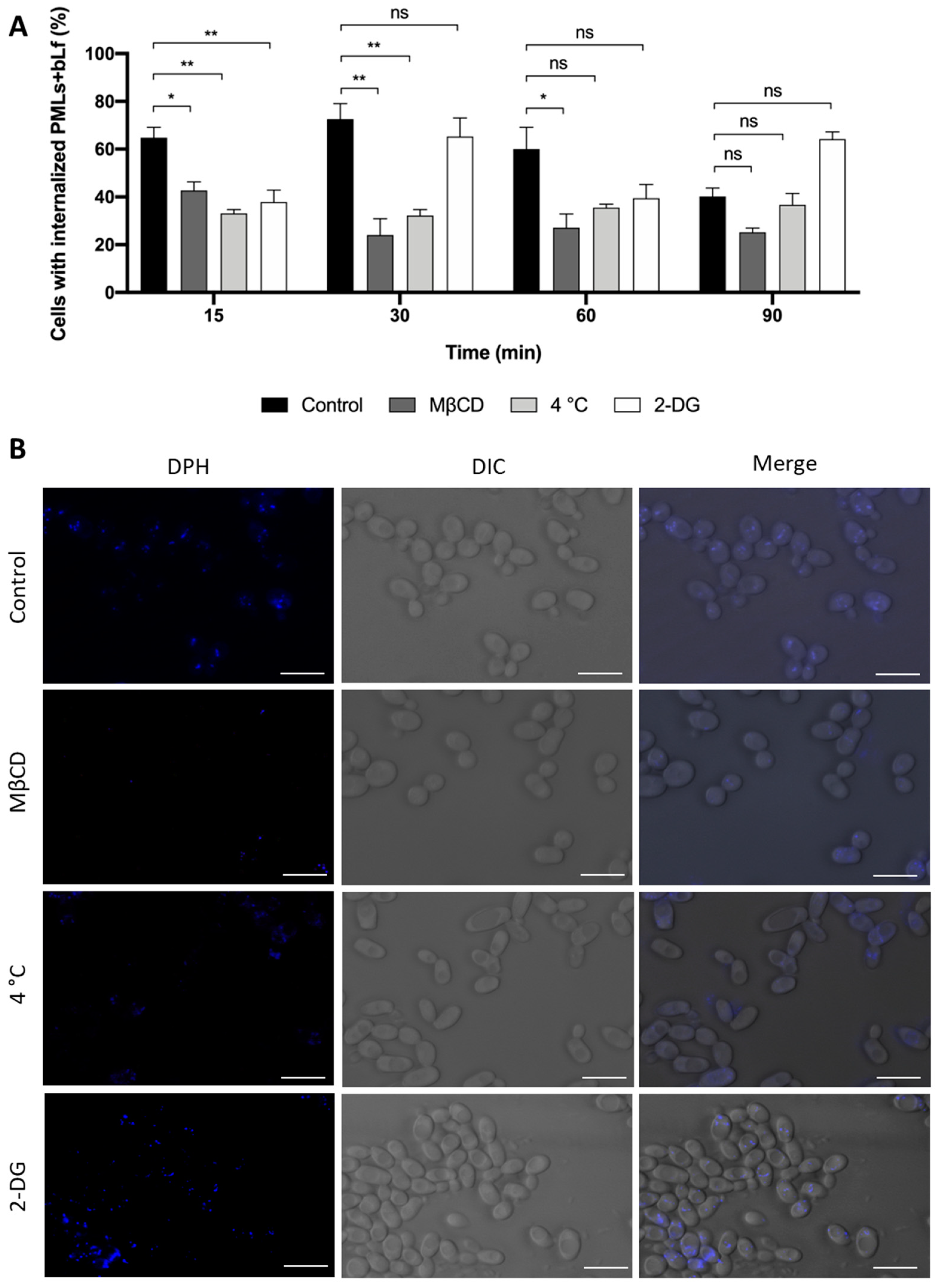 Pharmaceutics 15 02162 g015