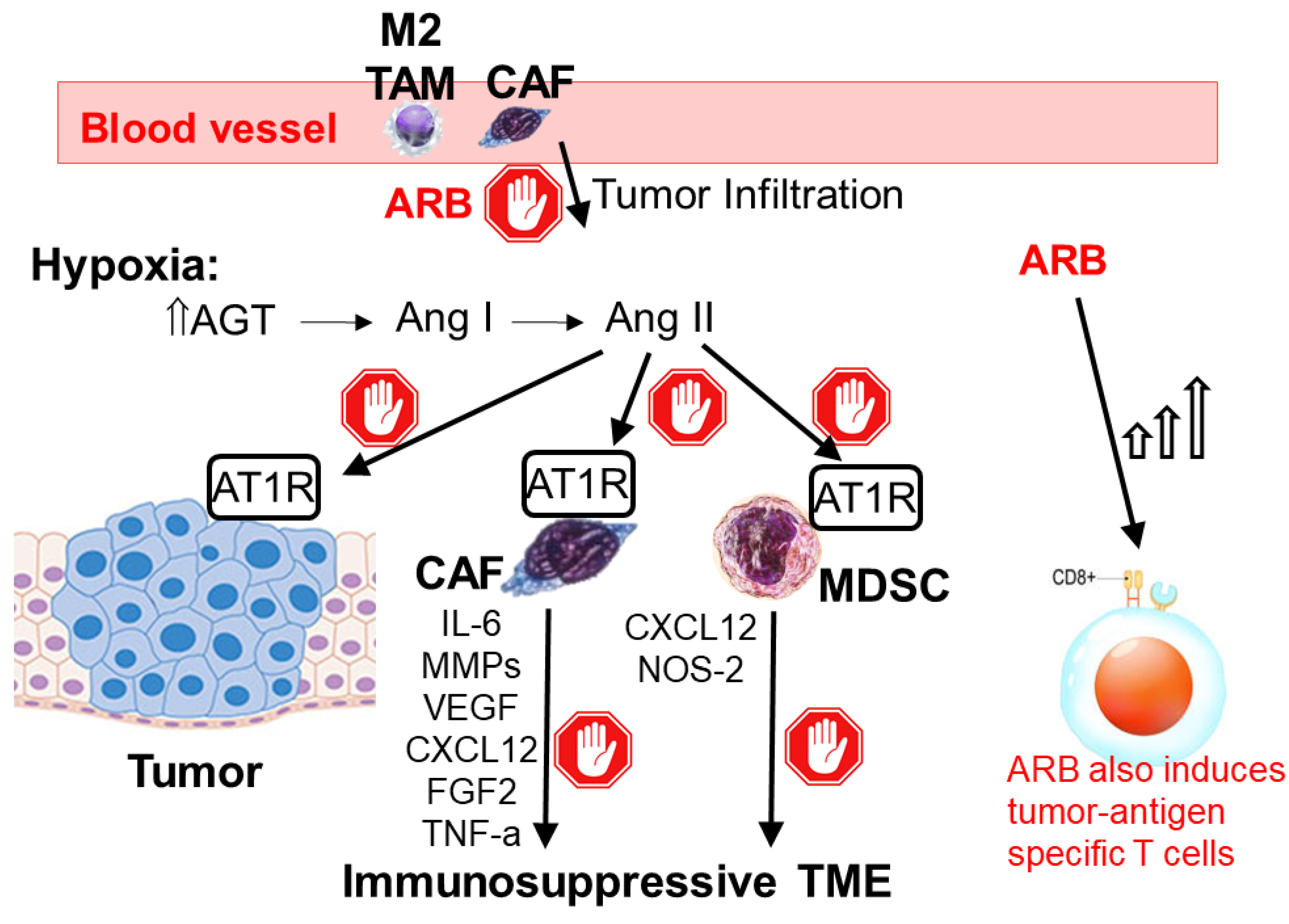 Pharmaceutics 15 02166 g003
