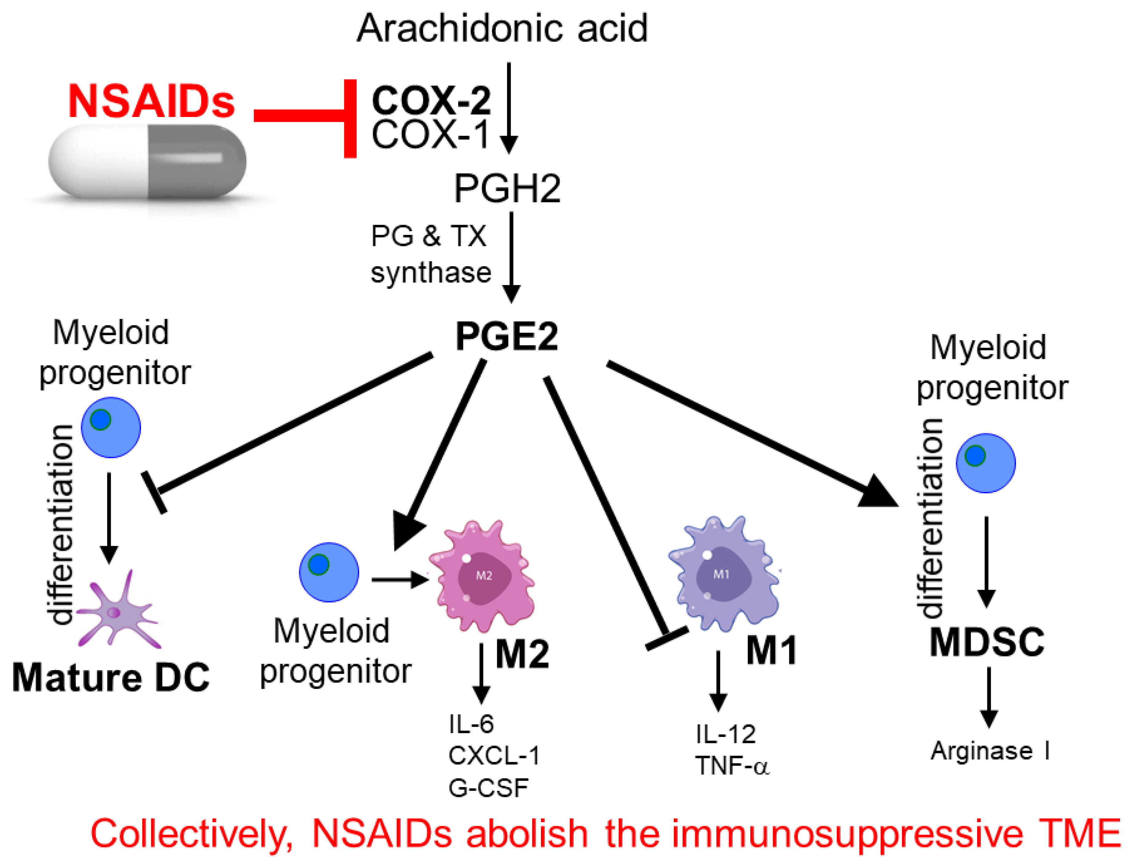 Pharmaceutics 15 02166 g004