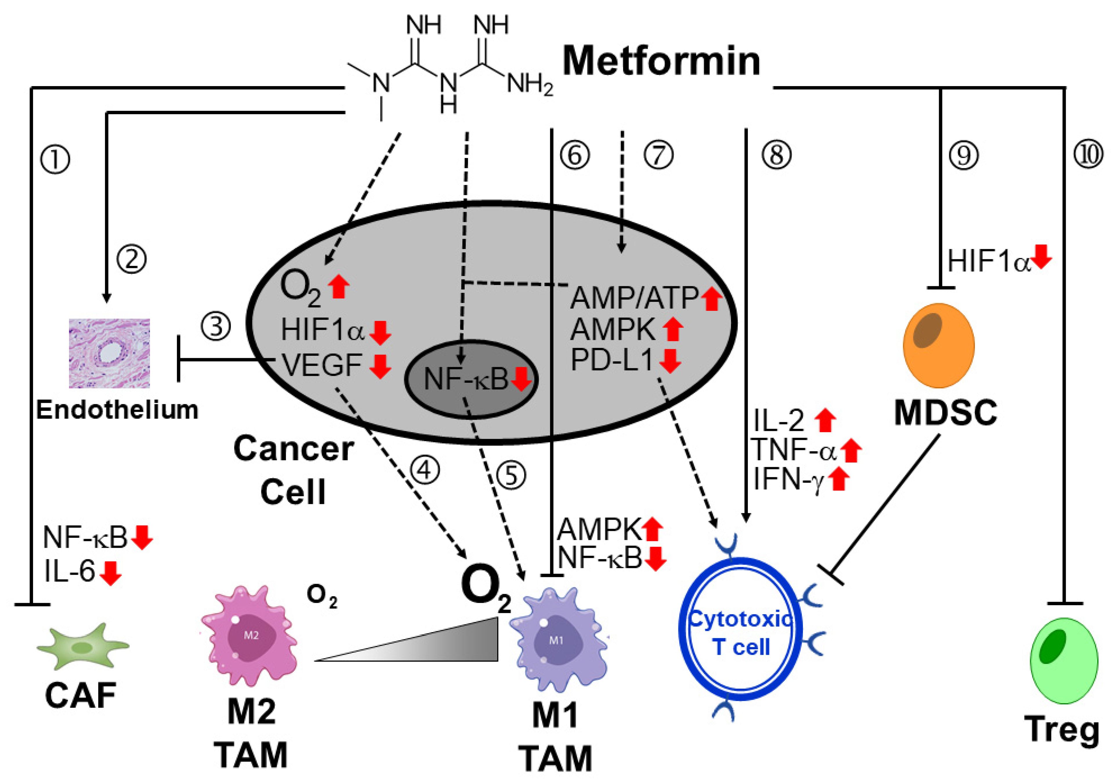 Pharmaceutics 15 02166 g005