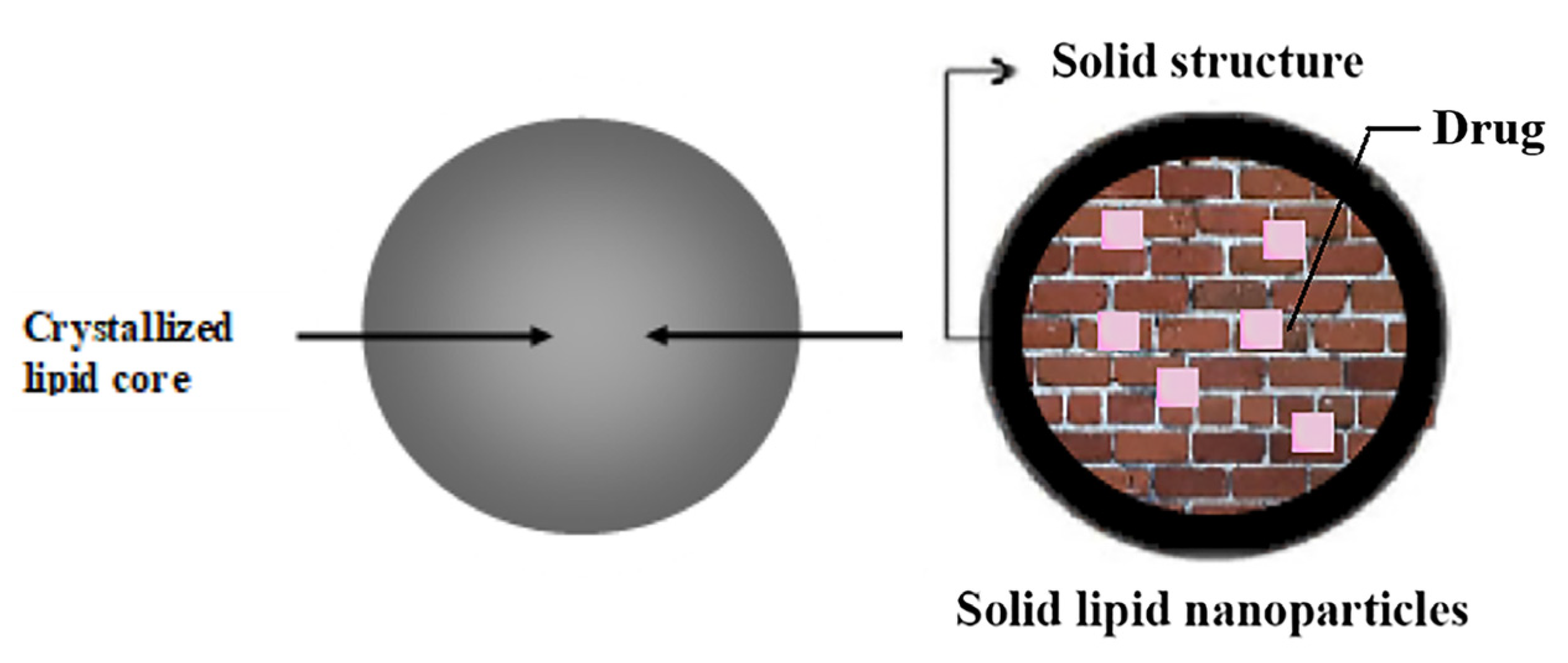 Pharmaceutics 15 02168 g001