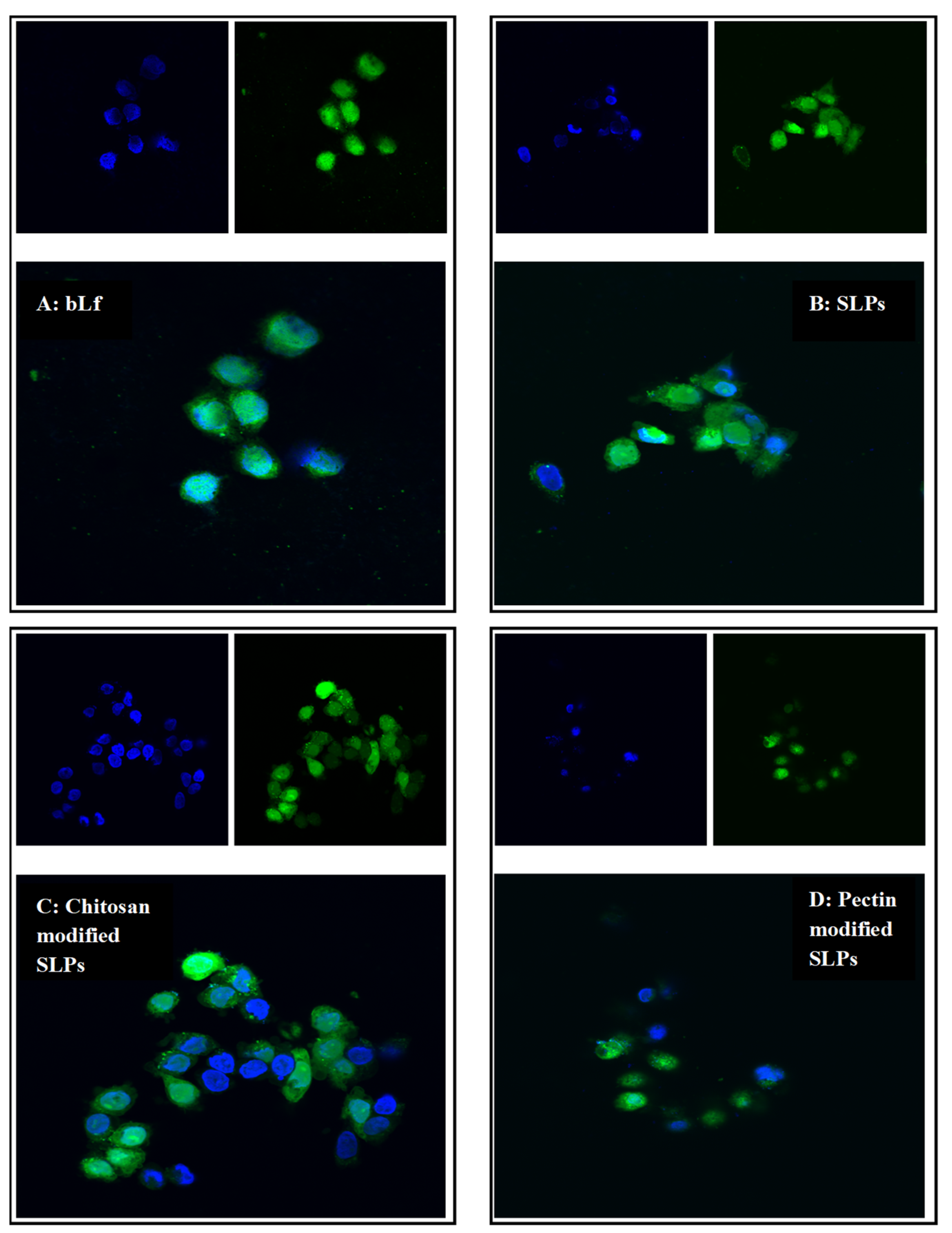 Pharmaceutics 15 02168 g006