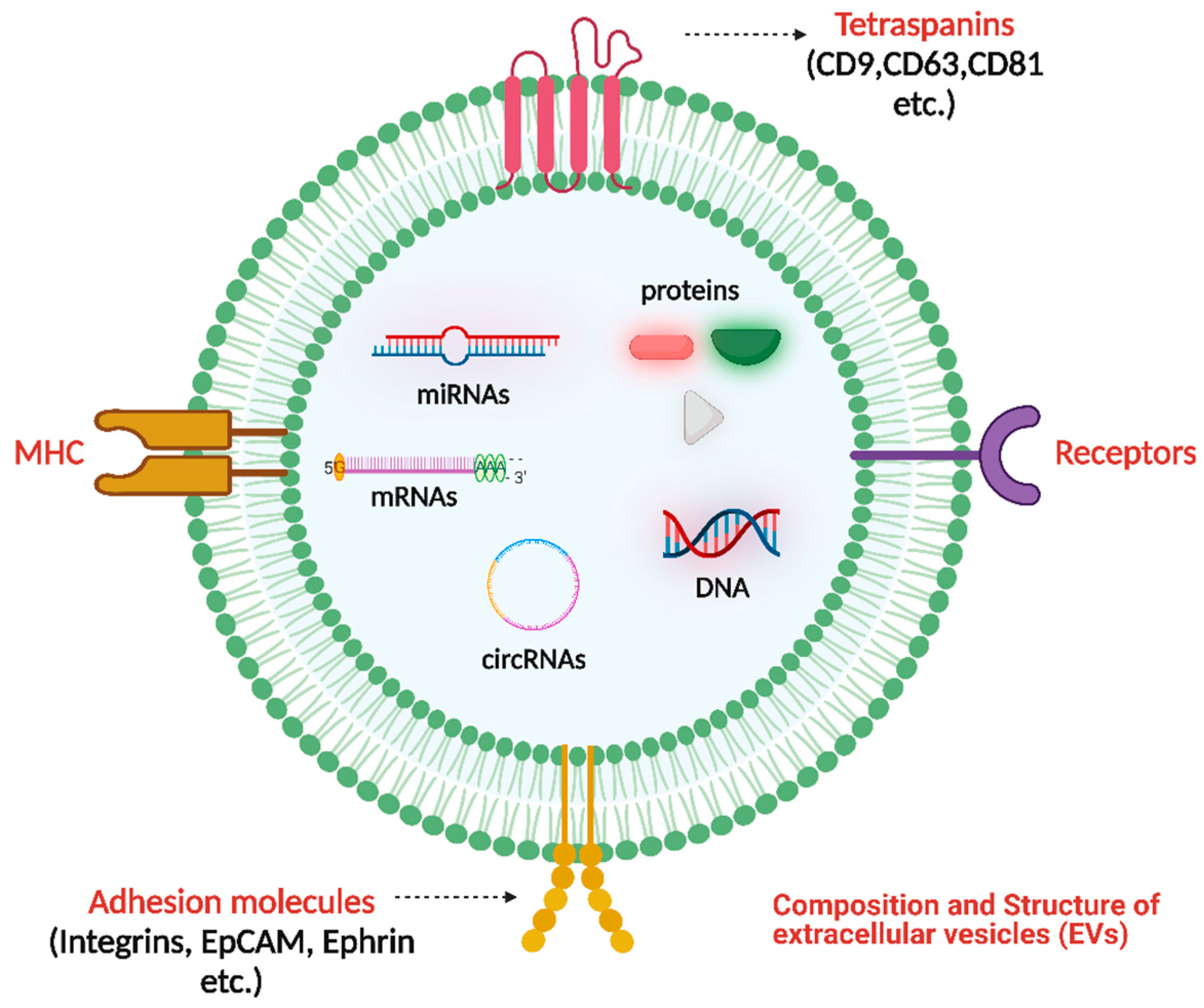 Pharmaceutics 15 02173 g001