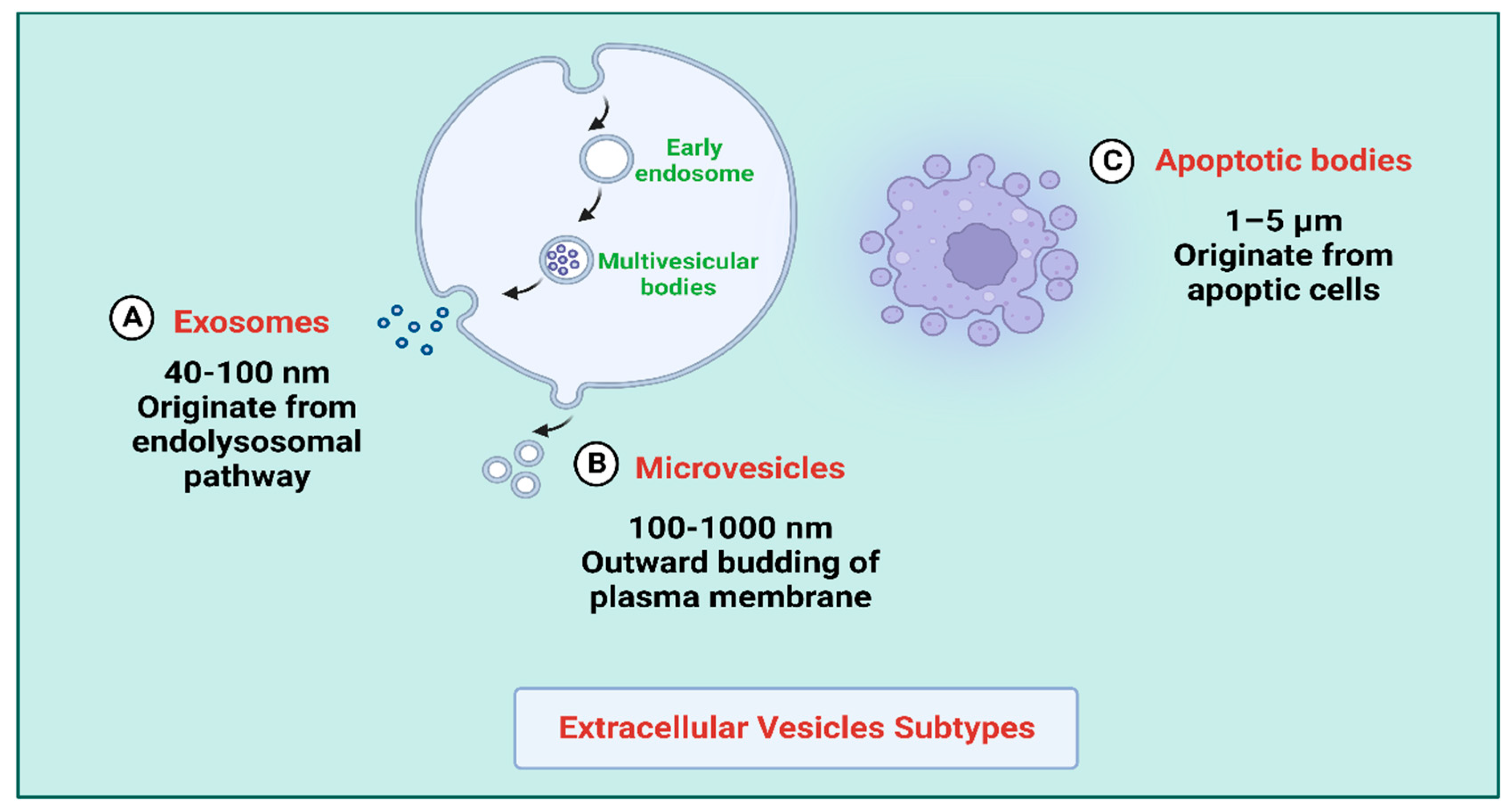 Pharmaceutics 15 02173 g002